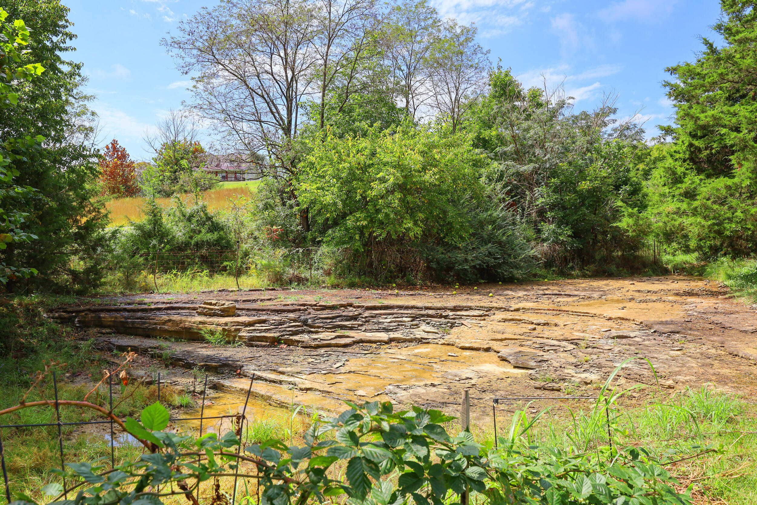 4480 Crab Orchard Road Property Photo 32
