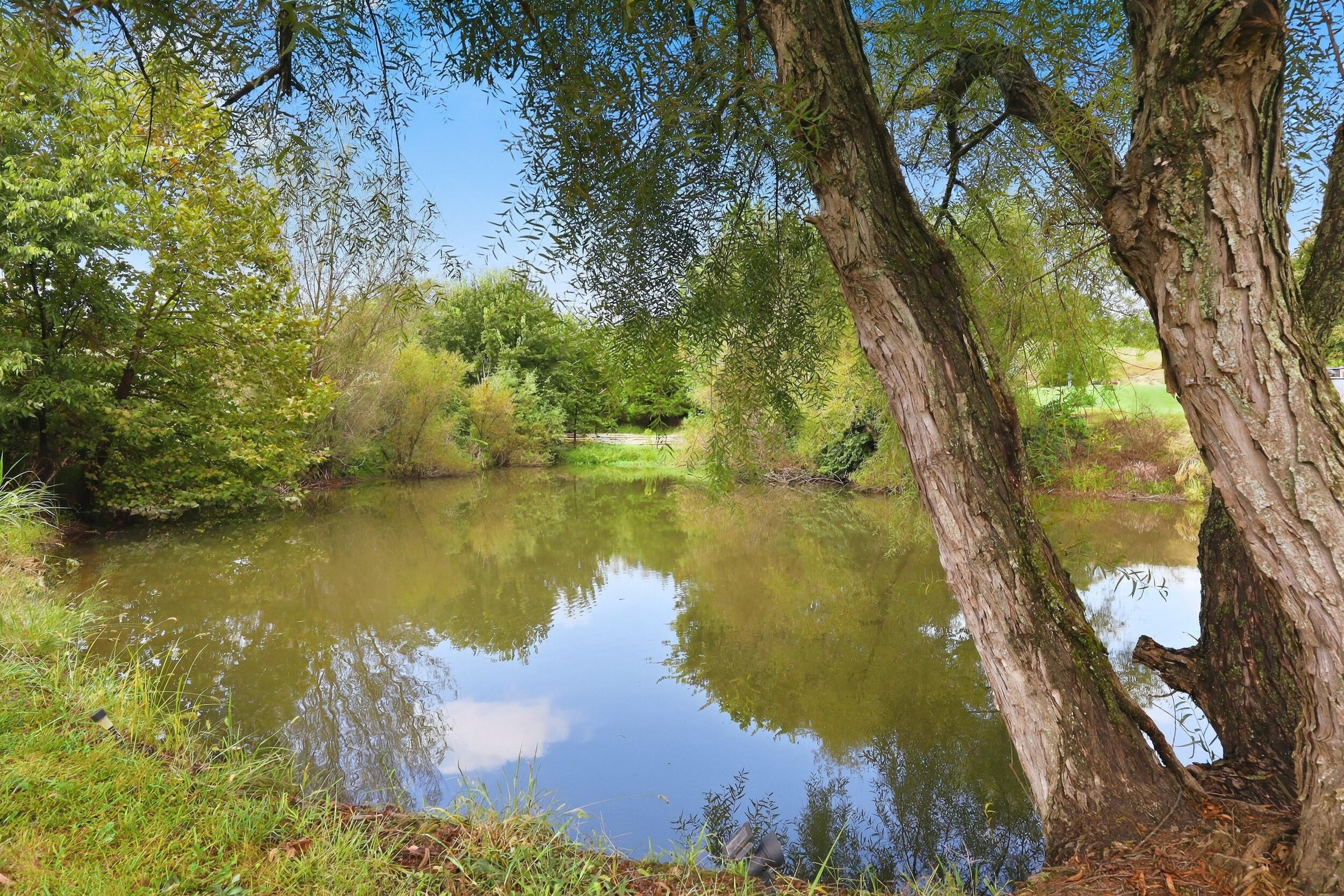 4480 Crab Orchard Road Property Photo 38