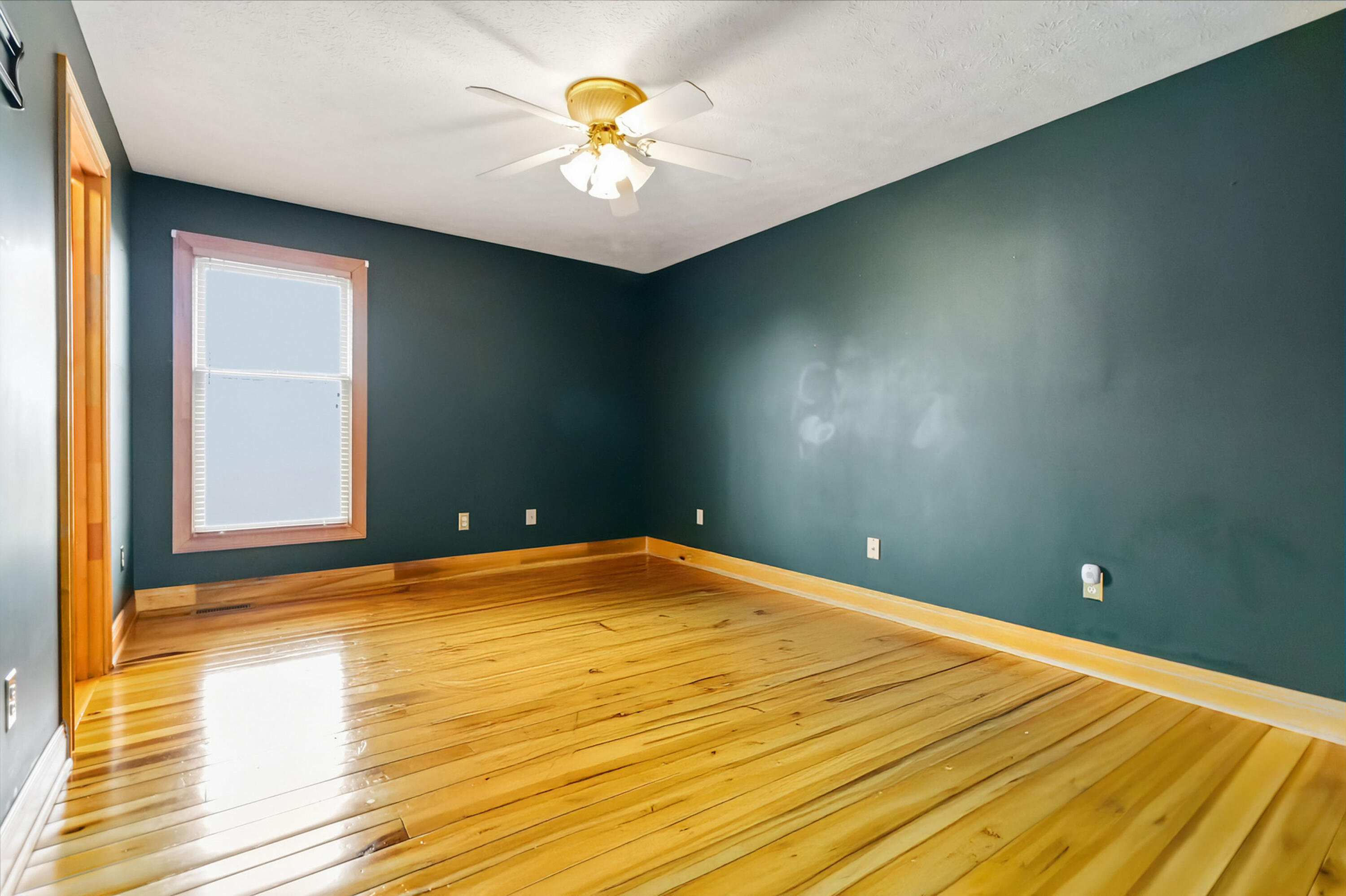 67 Delbar Lane Property Photo 16