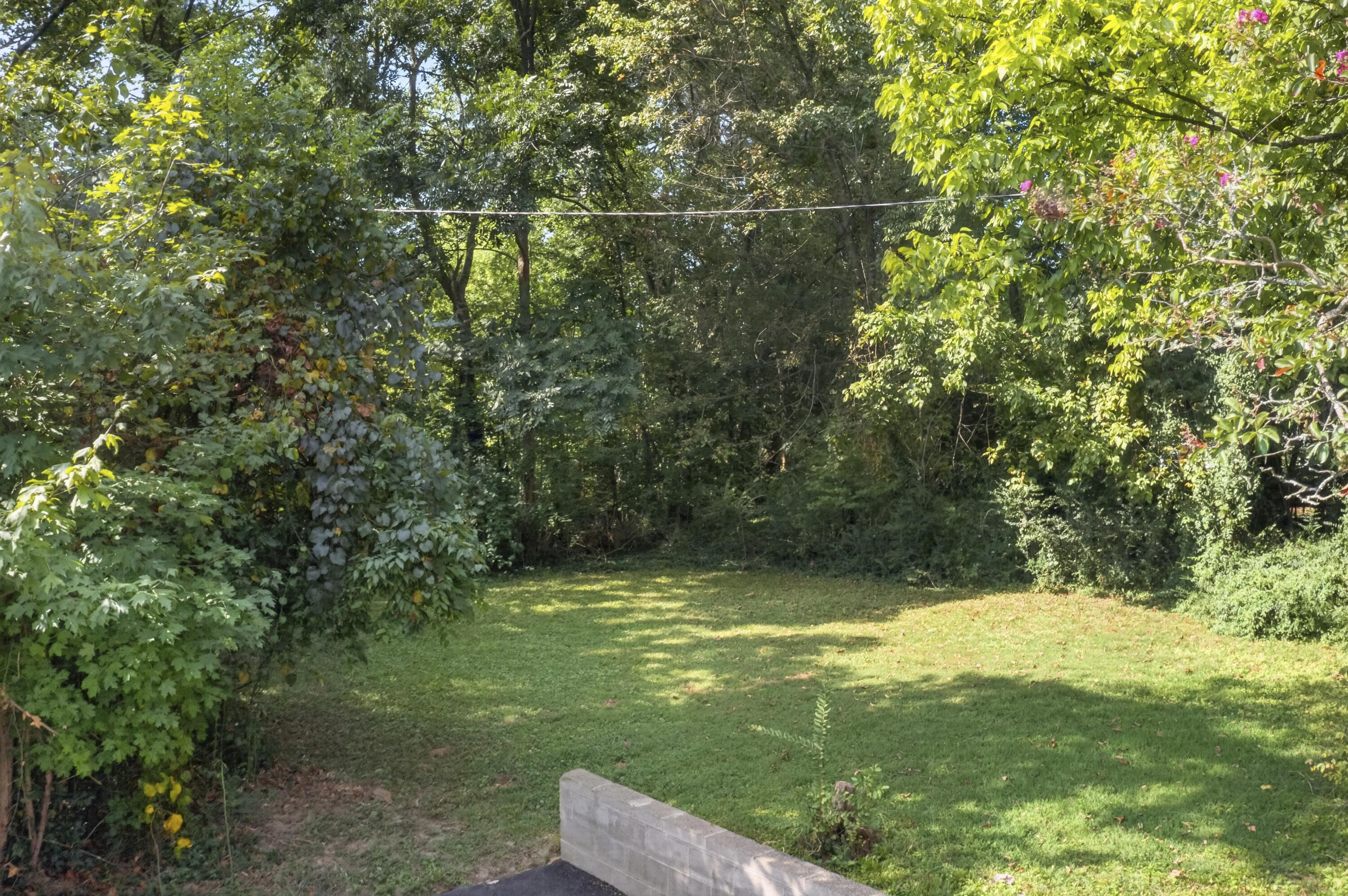 1003 Poplar Street Property Photo 37