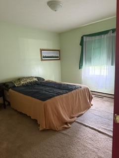 217 Brookfield Drive Property Photo 6