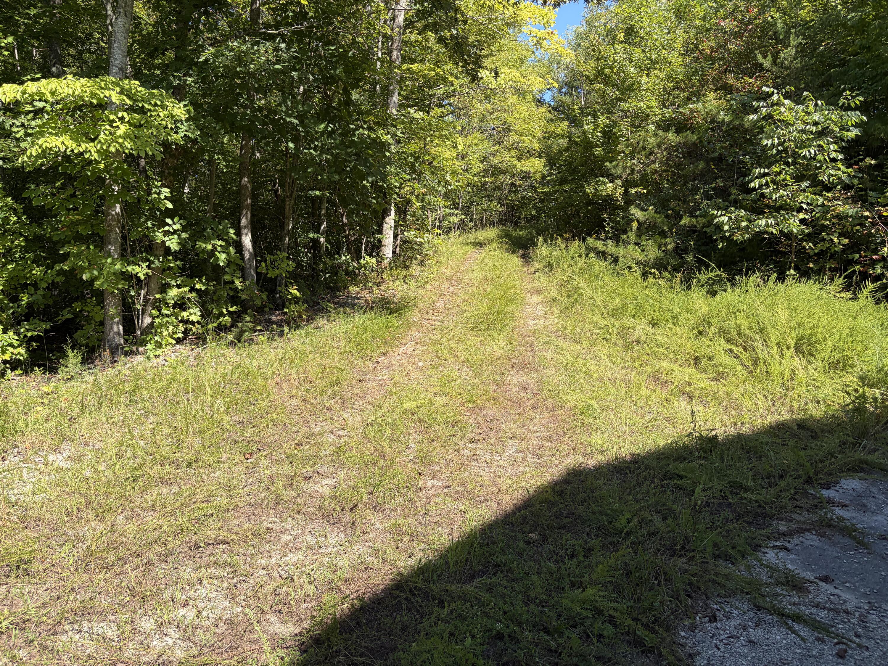 9999 Mountain View Road Property Photo 29