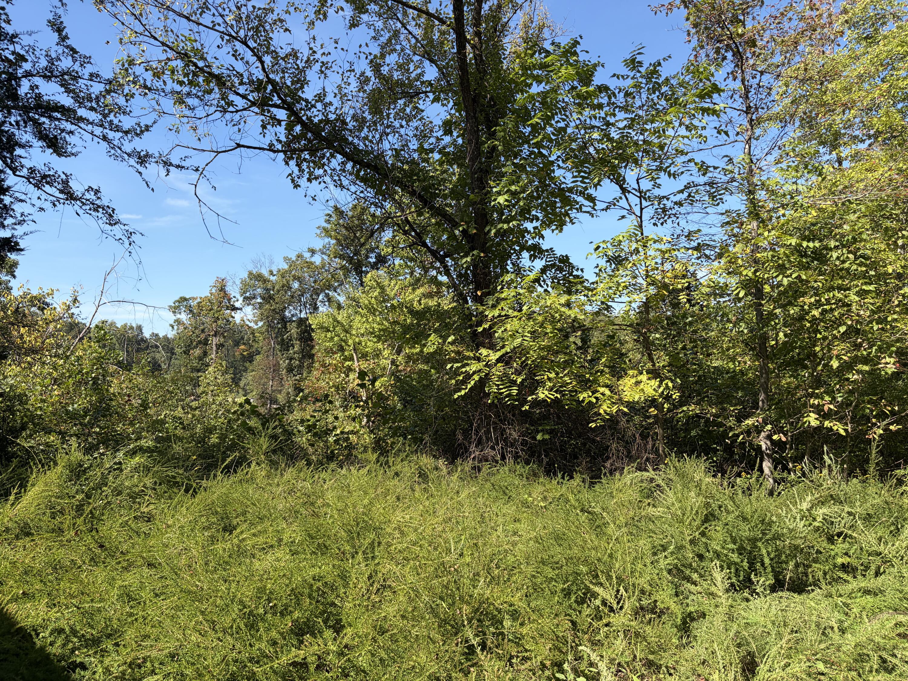 9999 Mountain View Road Property Photo 31