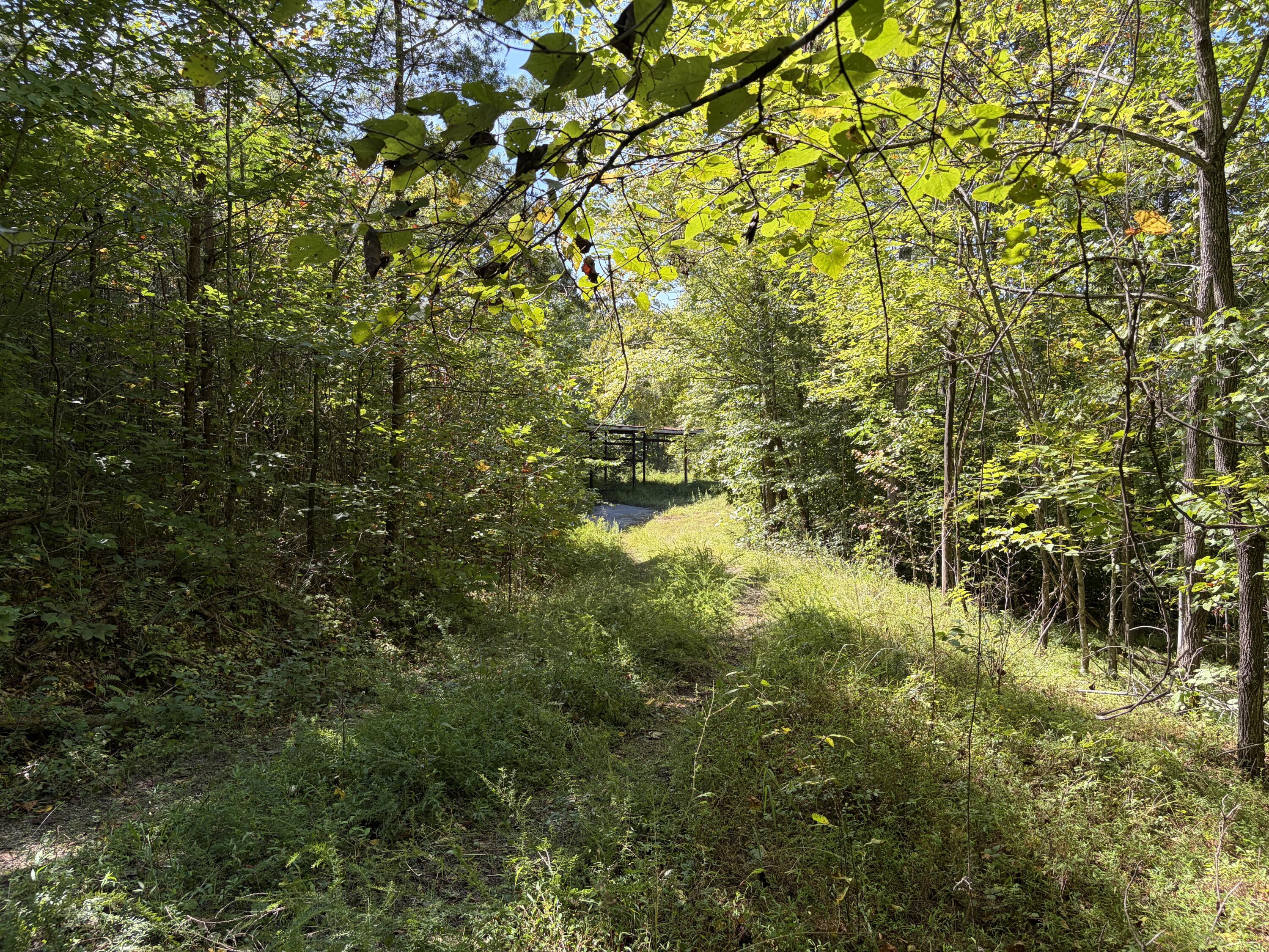 9999 Mountain View Road Property Photo 32