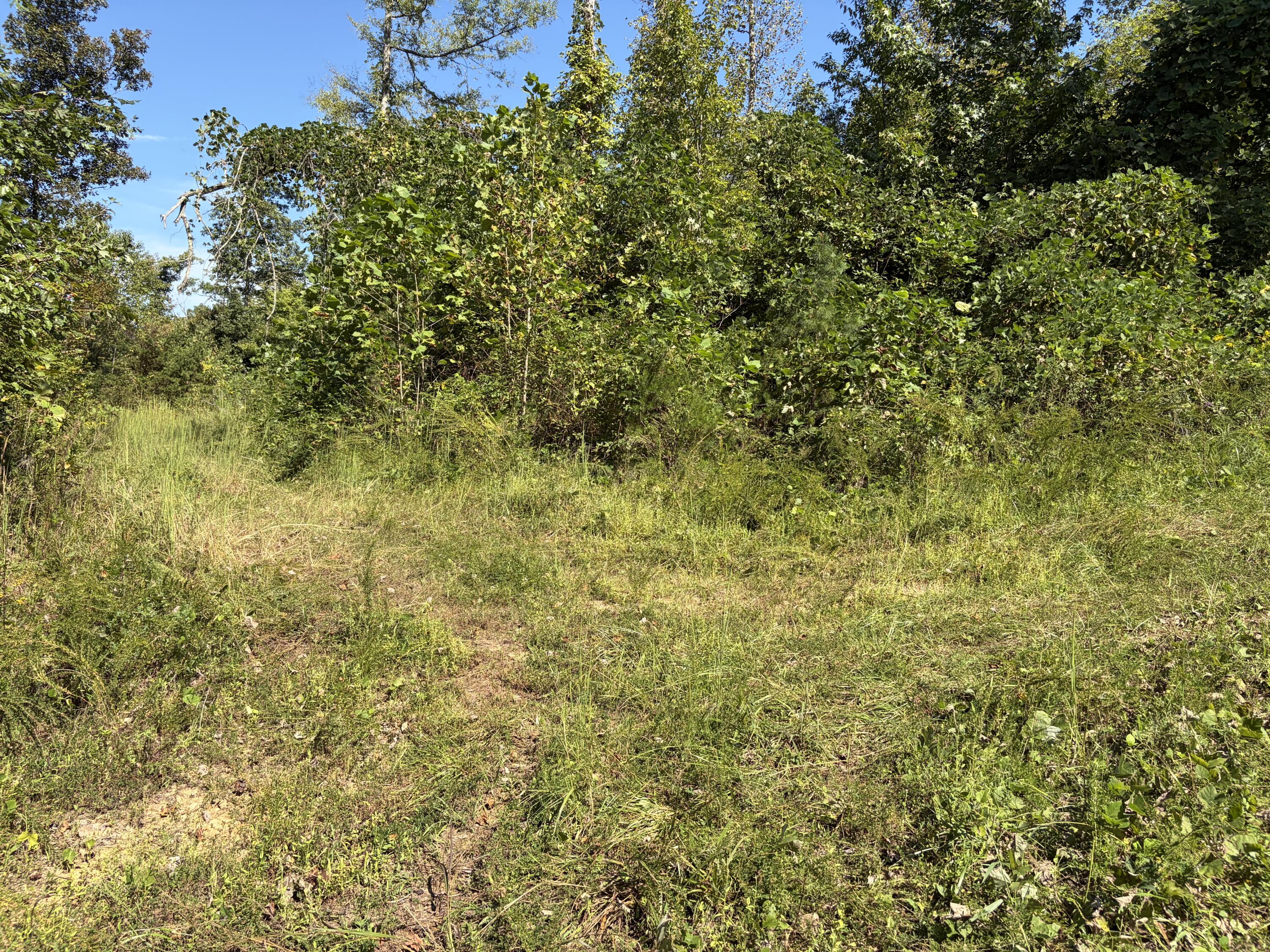9999 Mountain View Road Property Photo 33