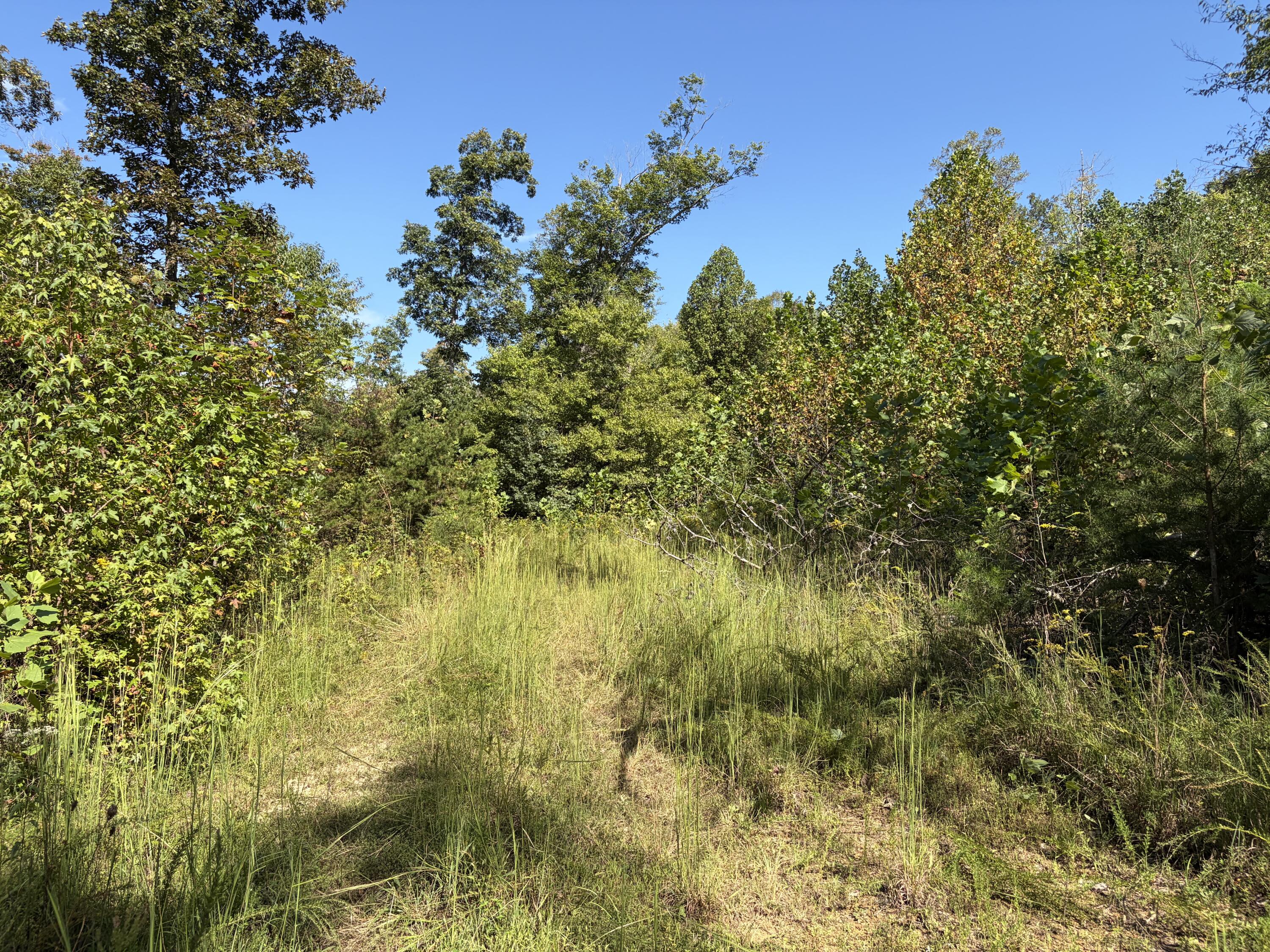 9999 Mountain View Road Property Photo 34