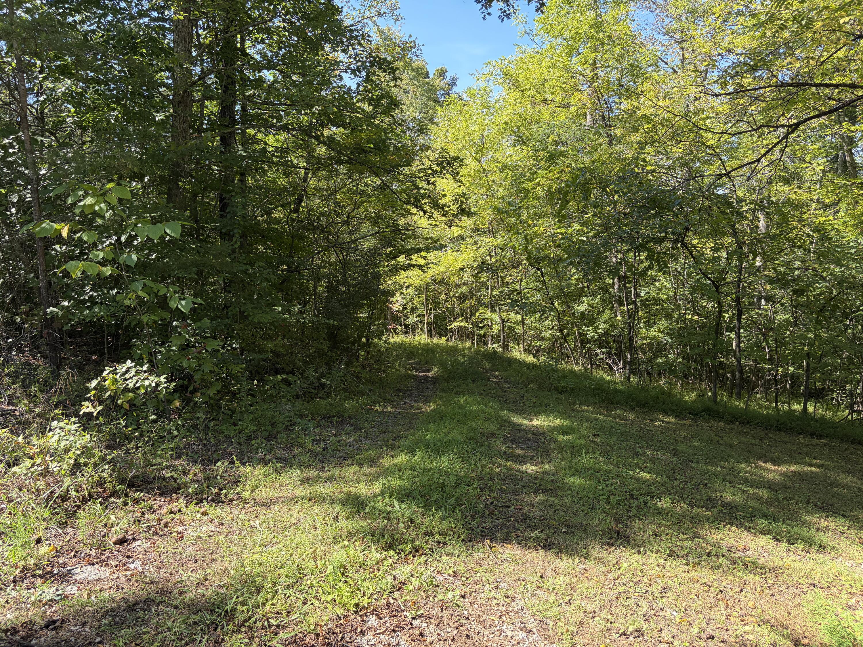 9999 Mountain View Road Property Photo 35