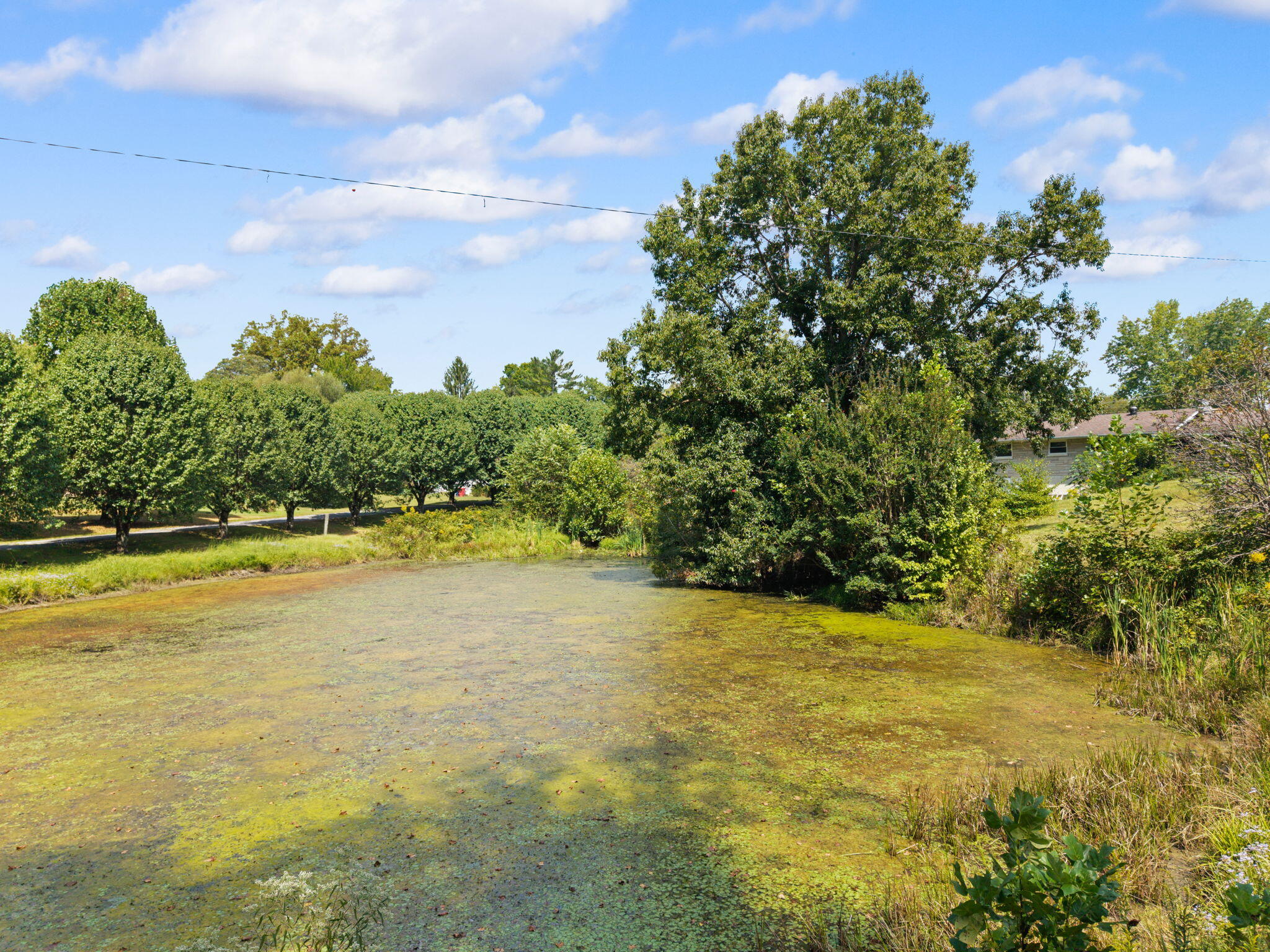 907 Court Road Property Photo 13
