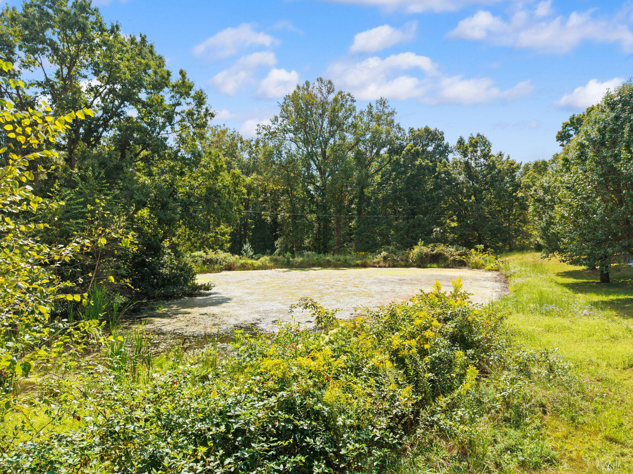 907 Court Road Property Photo 14