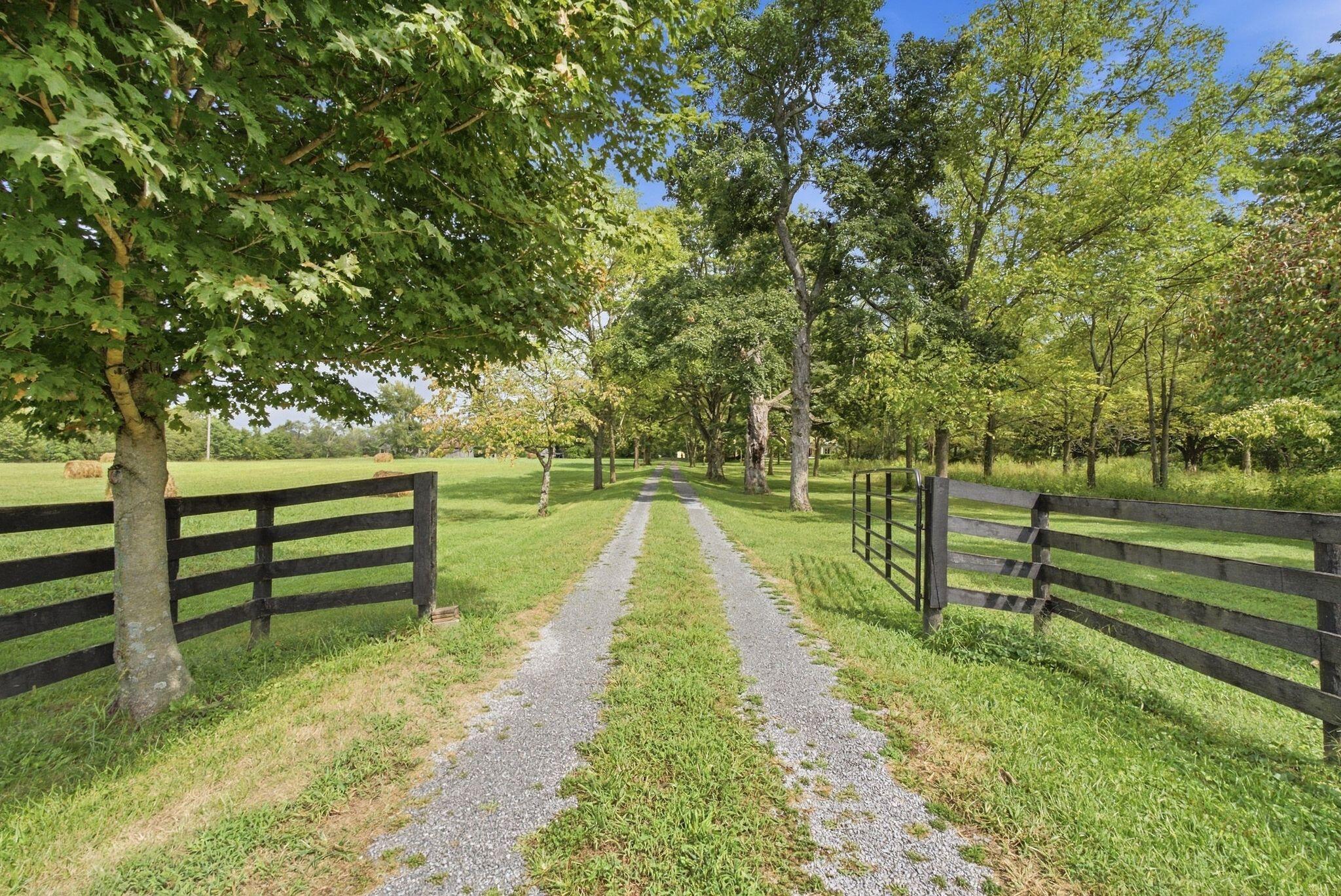 5190 Highway 2141 Property Photo 68