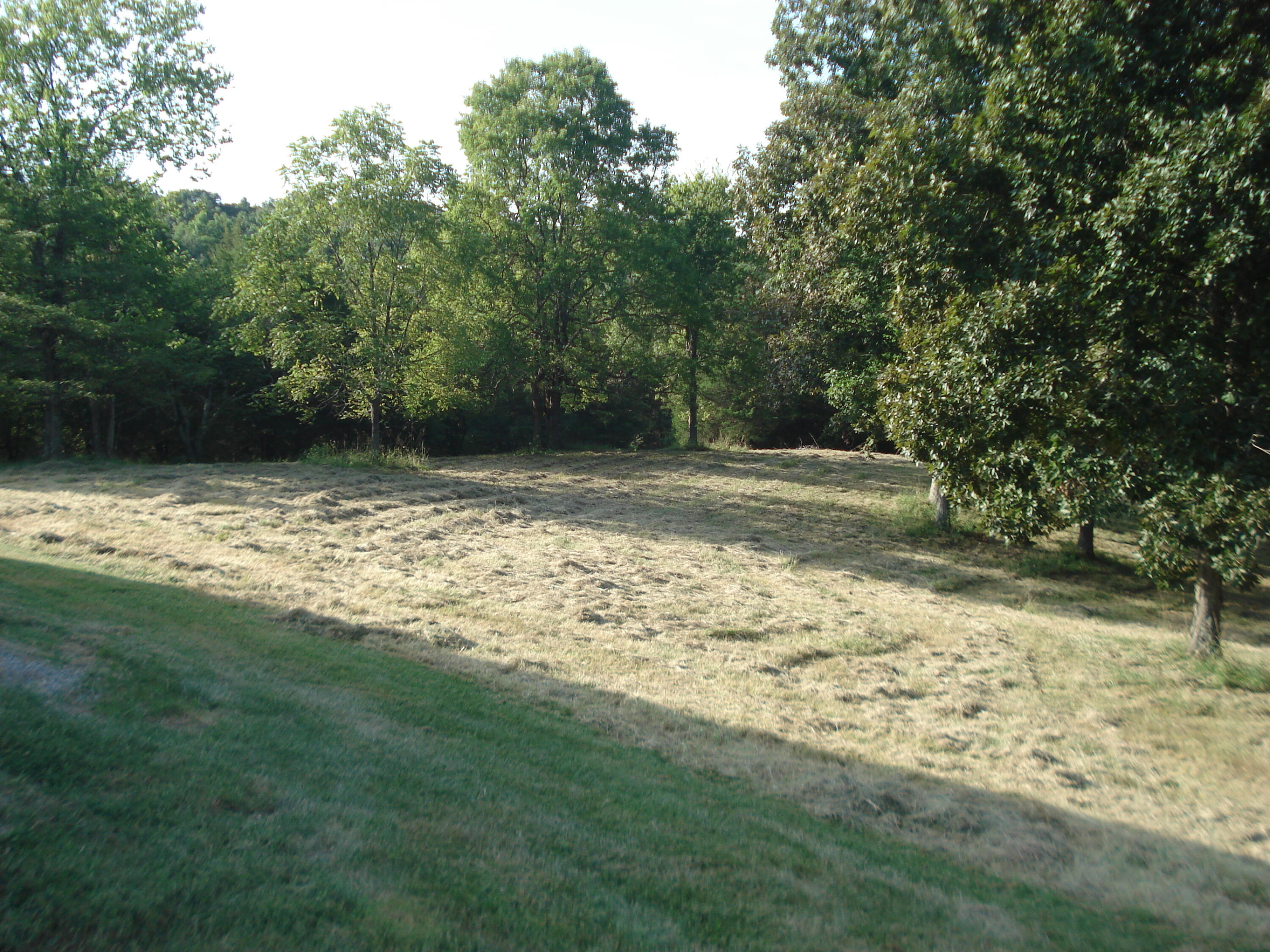 193 Scotts Mill Road Property Photo 8