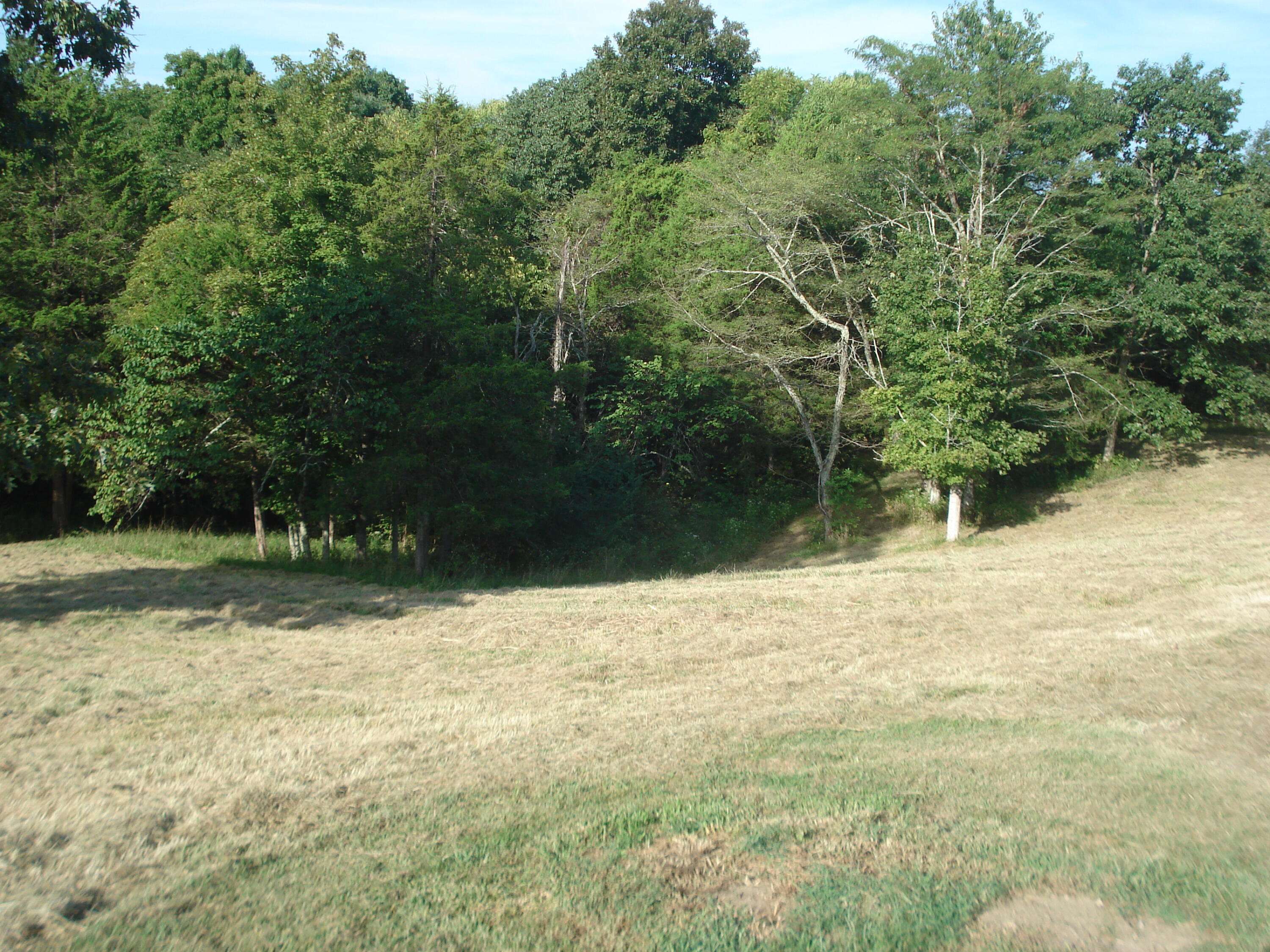 193 Scotts Mill Road Property Photo 9