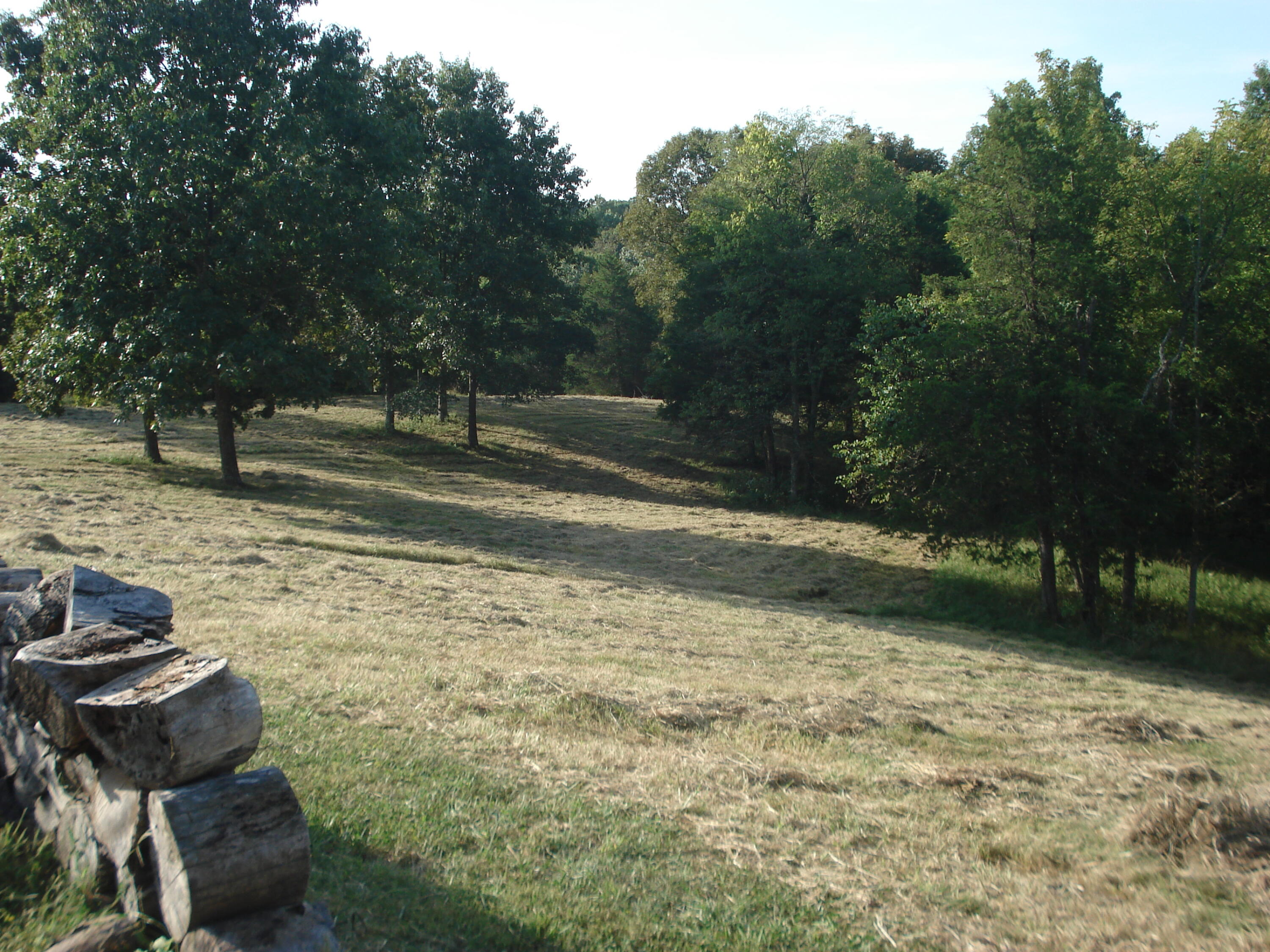 193 Scotts Mill Road Property Photo 10
