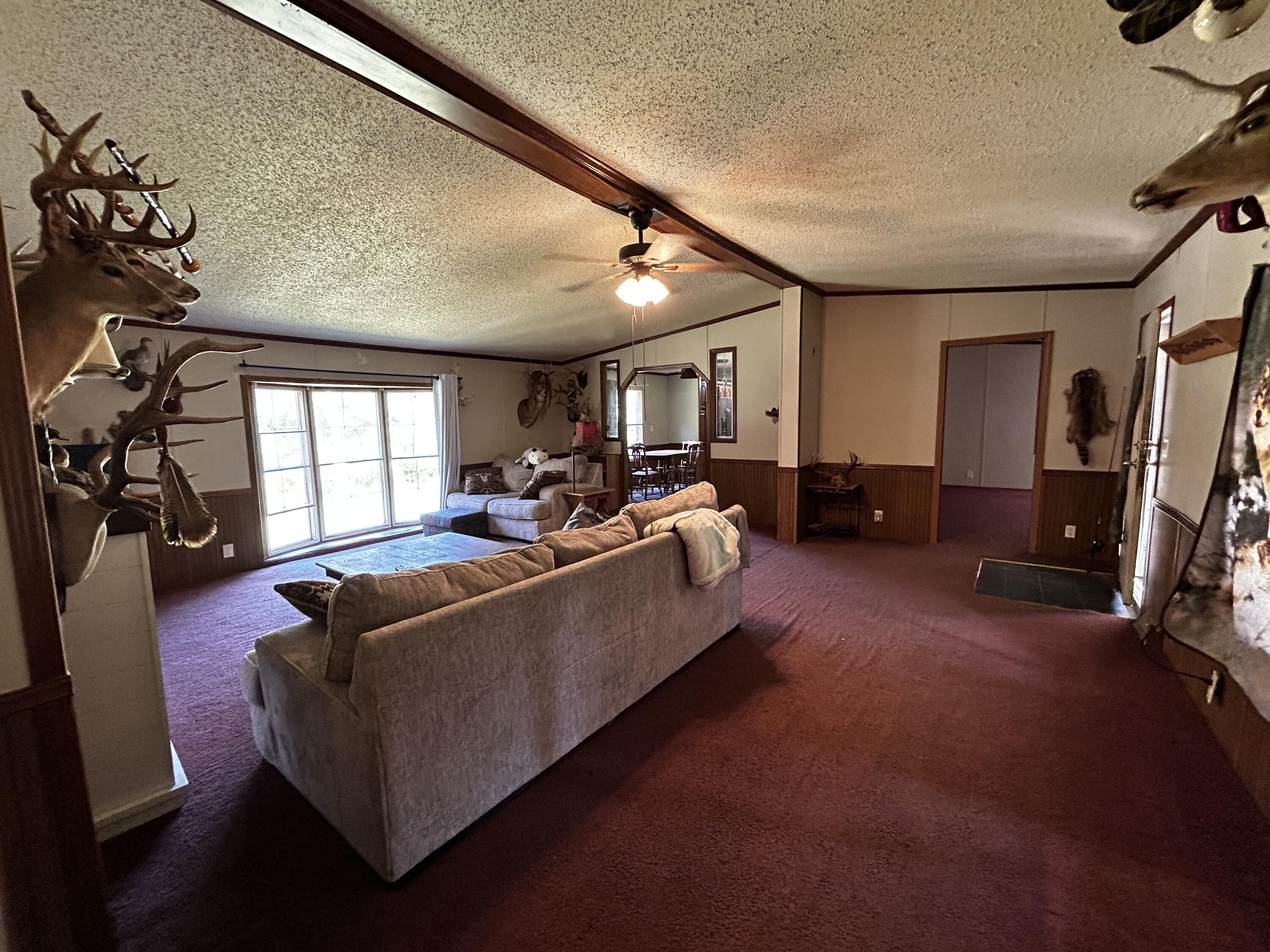 553 Borden Road Property Photo 22