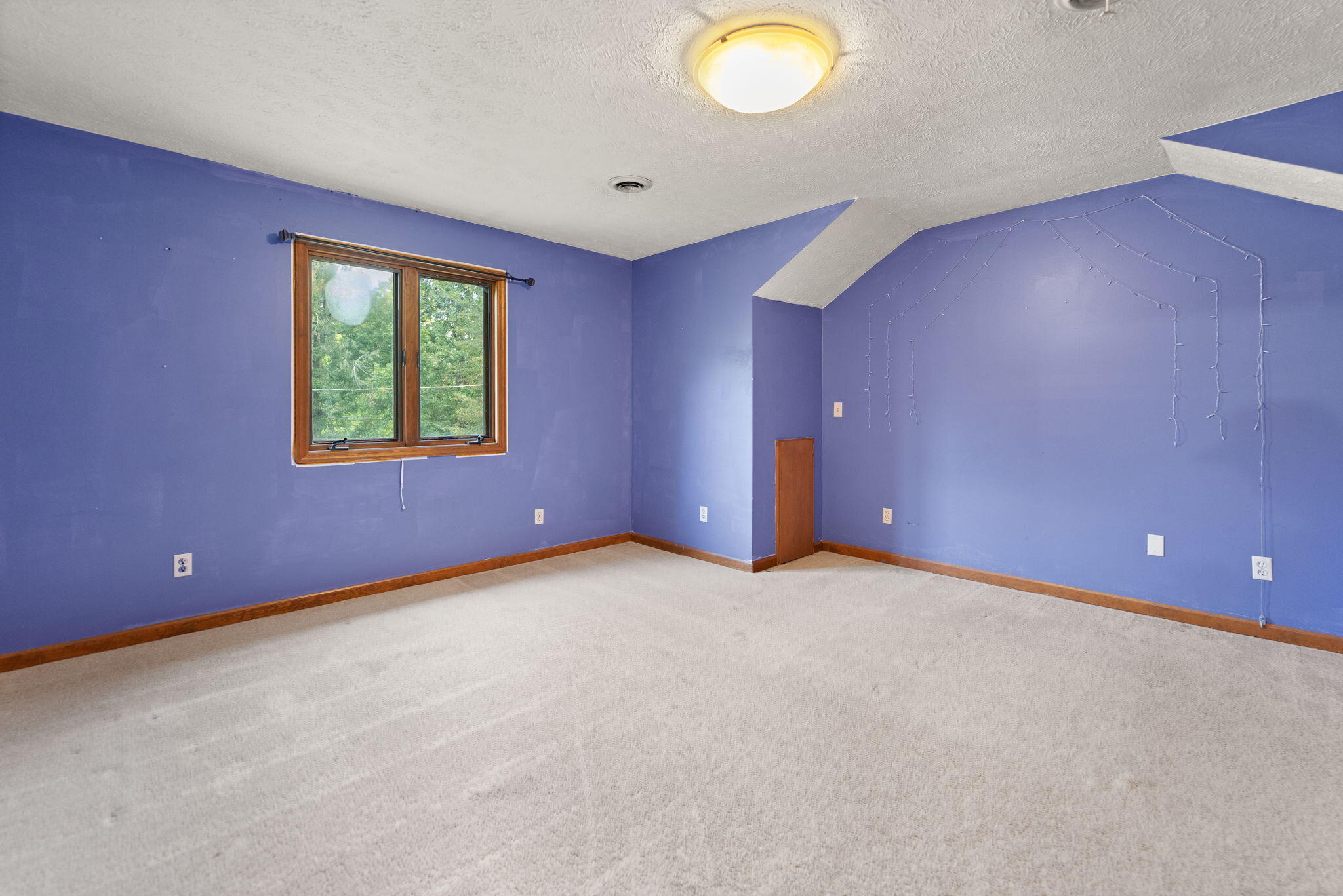 259 Riva Ridge Trail Property Photo 51