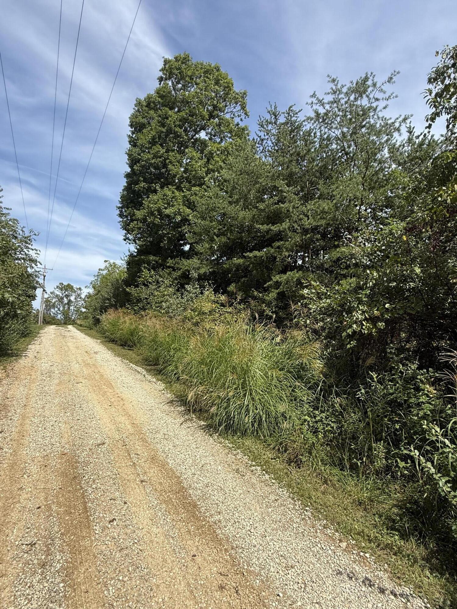 1197 & 25 State Highway 1036 Property Photo 2