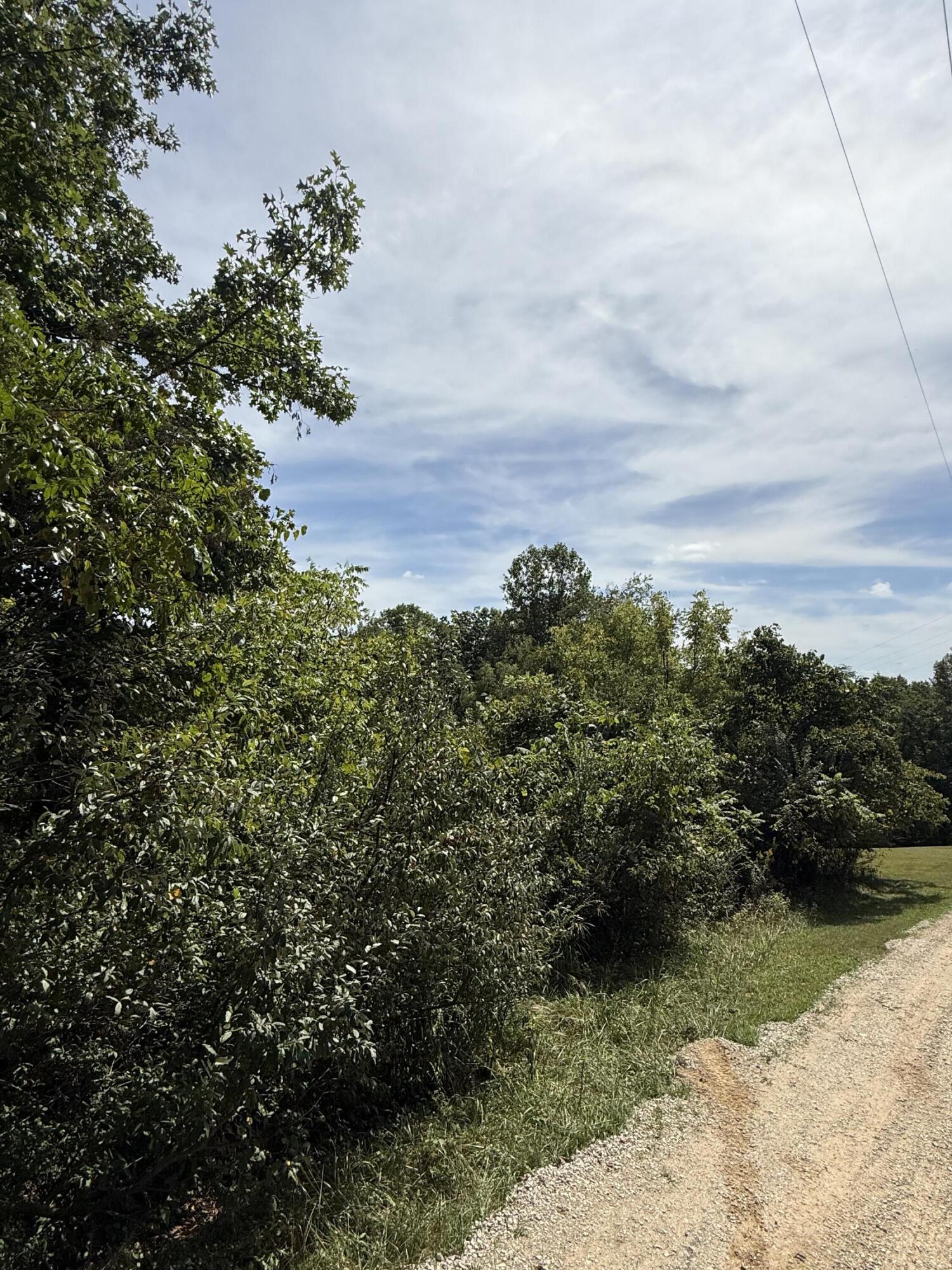 1197 & 25 State Highway 1036 Property Photo 3