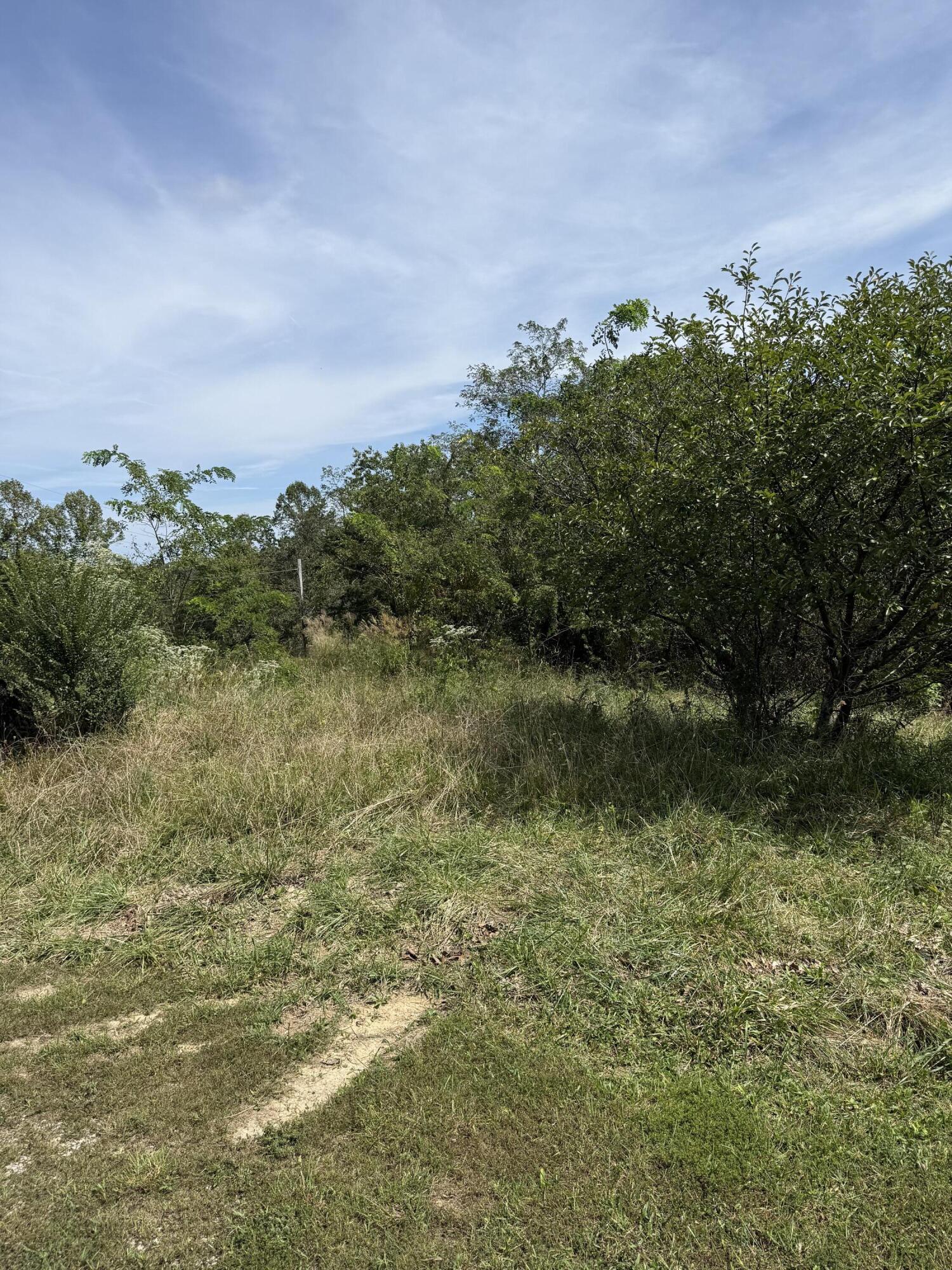 1197 & 25 State Highway 1036 Property Photo 4