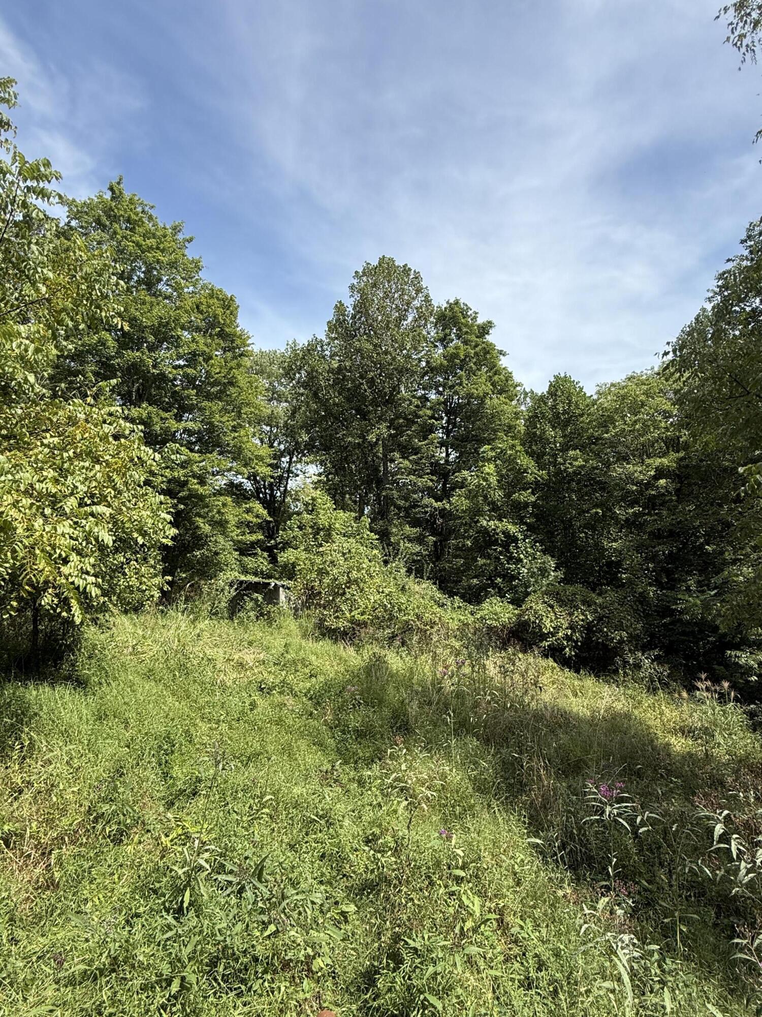 1197 & 25 State Highway 1036 Property Photo 5