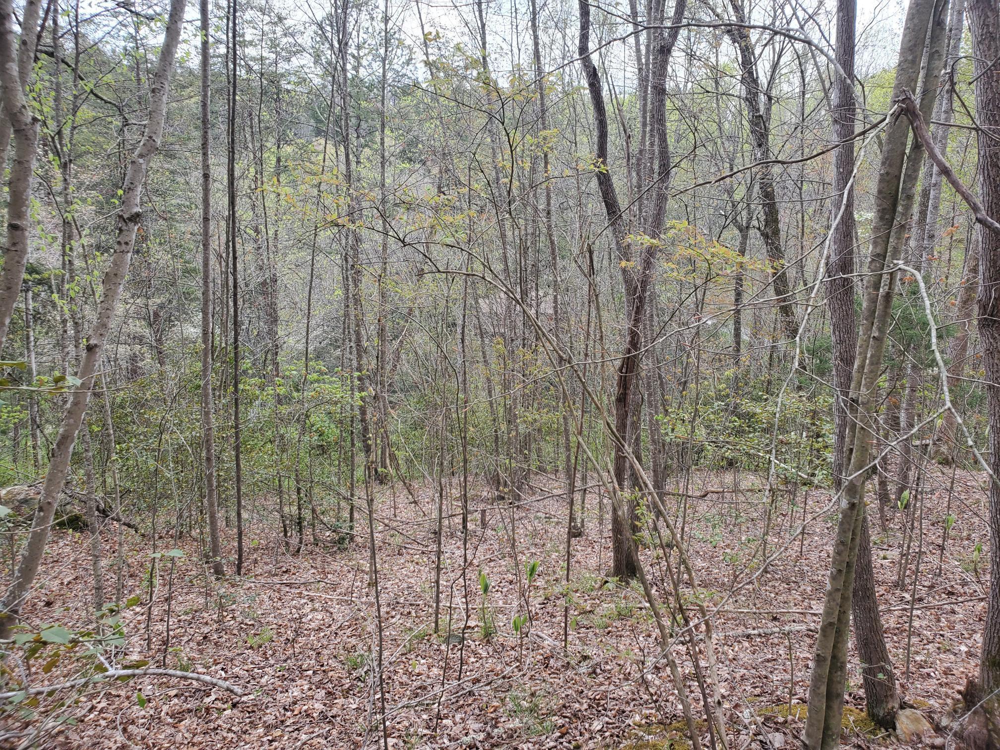 Lot 35-Lot 36 Boulder Drive Property Photo 1