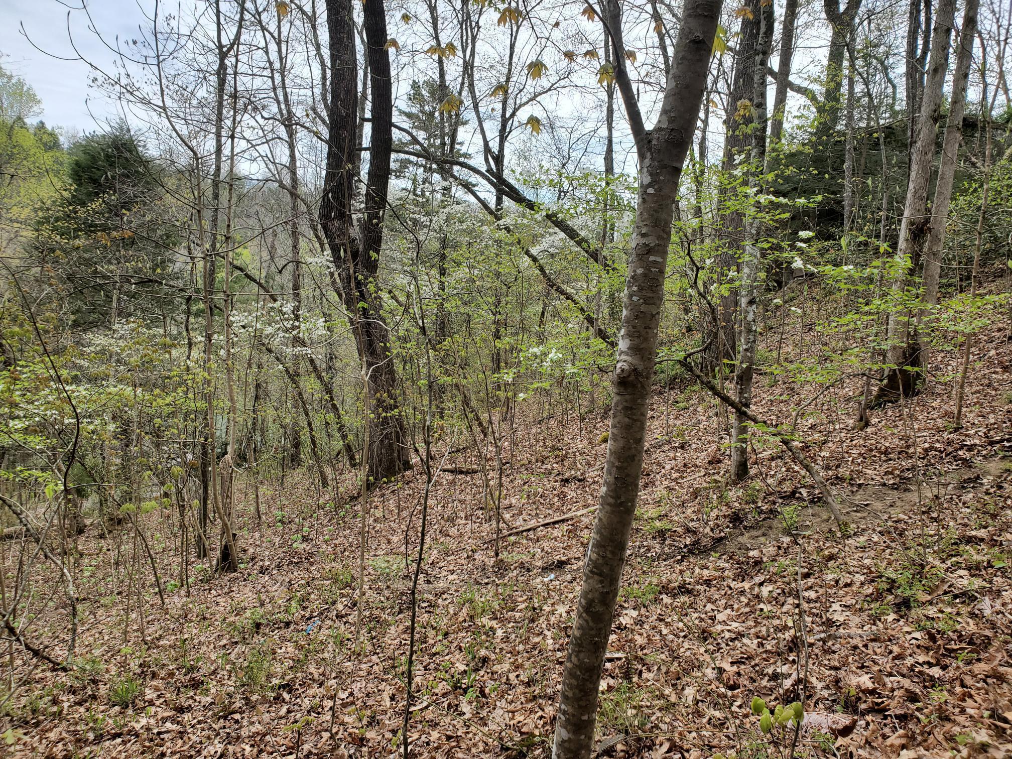 Lot 35-lot 36 Boulder Drive Property Photo 2