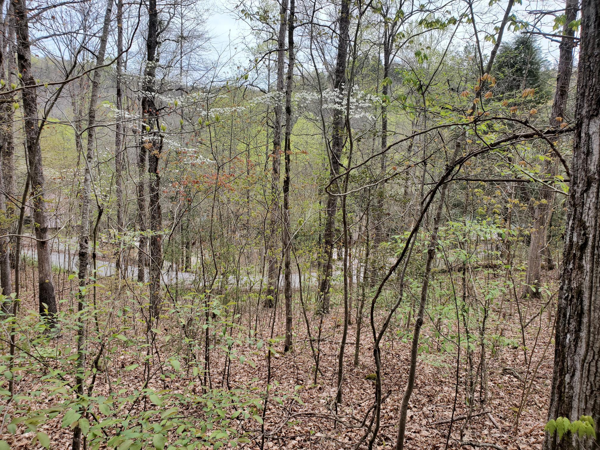 Lot 35-lot 36 Boulder Drive Property Photo 3