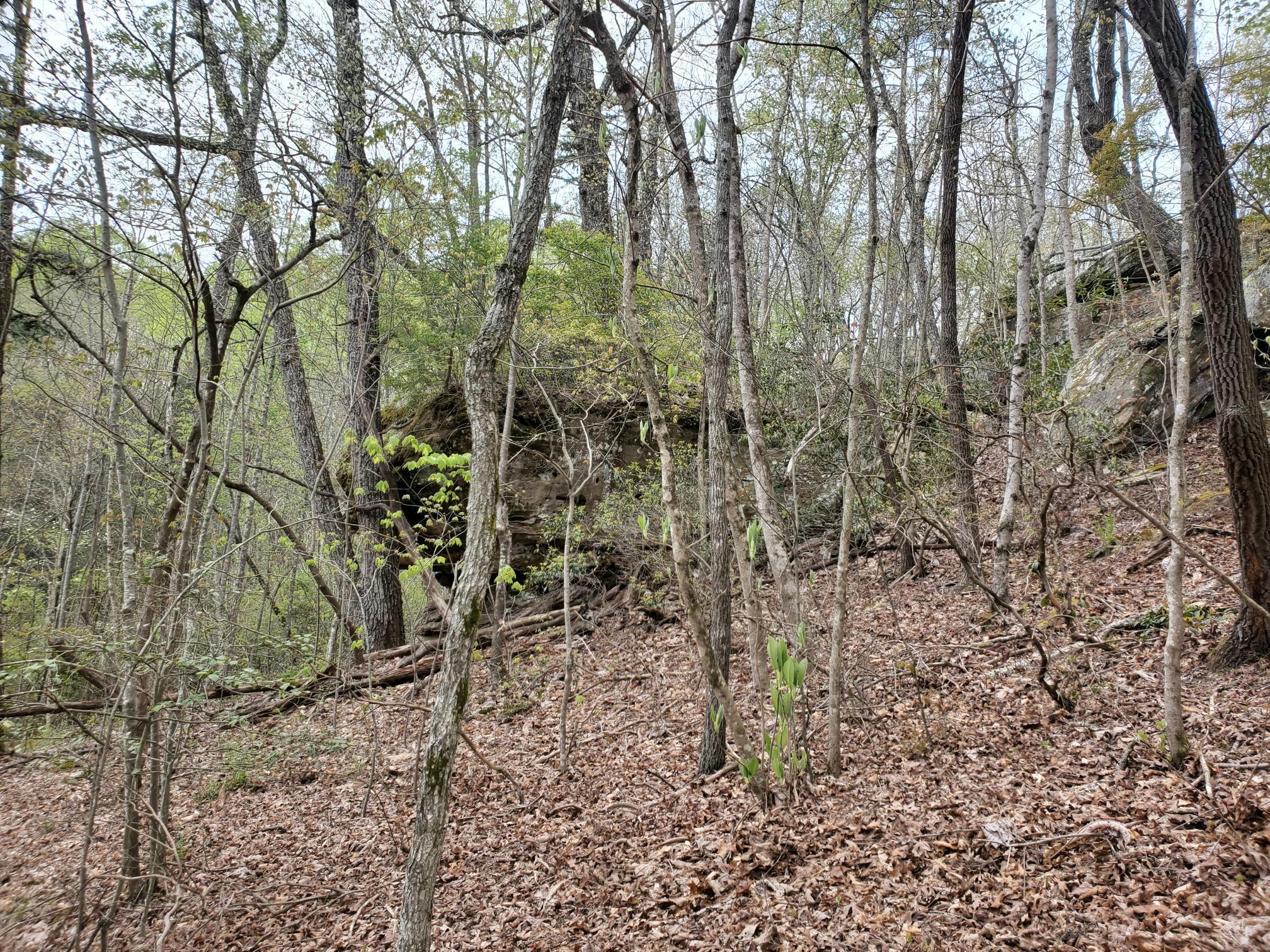 Lot 35-lot 36 Boulder Drive Property Photo 5