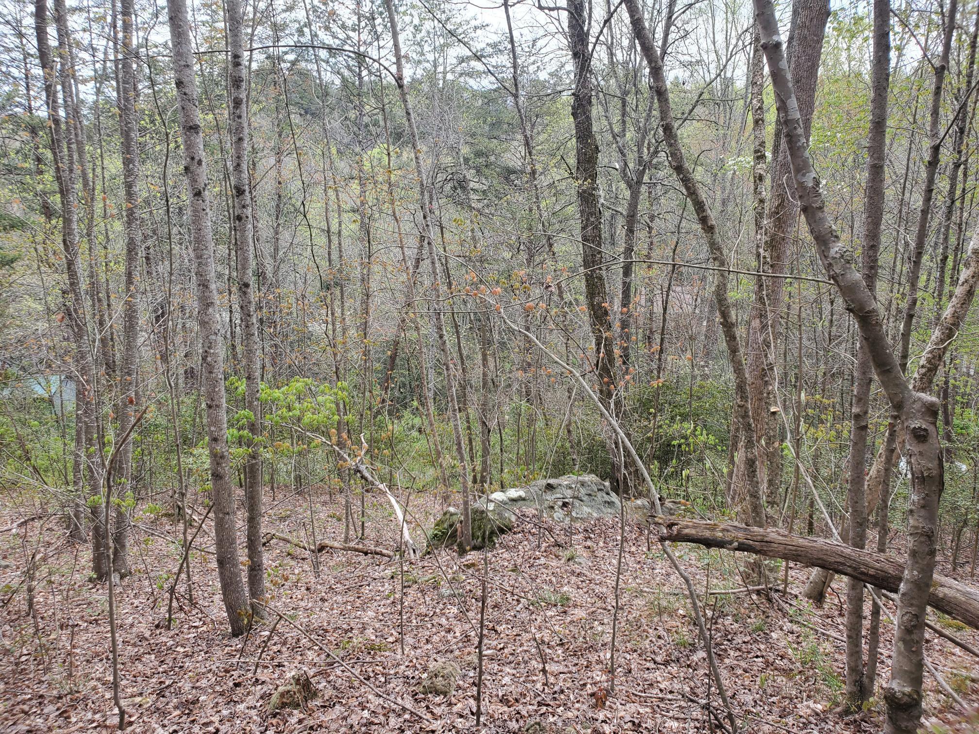 Lot 35-lot 36 Boulder Drive Property Photo 6
