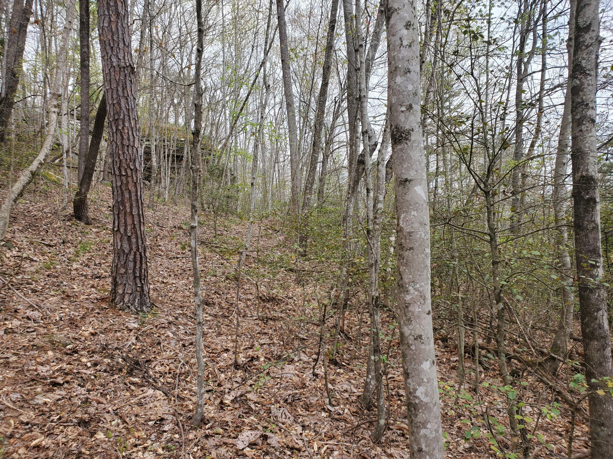 Lot 35-lot 36 Boulder Drive Property Photo 7