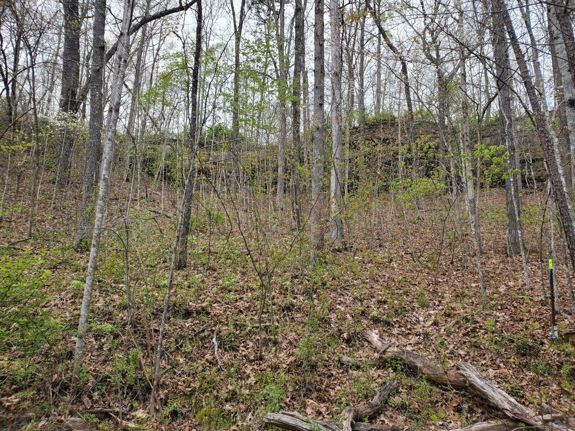 Lot 35-lot 36 Boulder Drive Property Photo 9