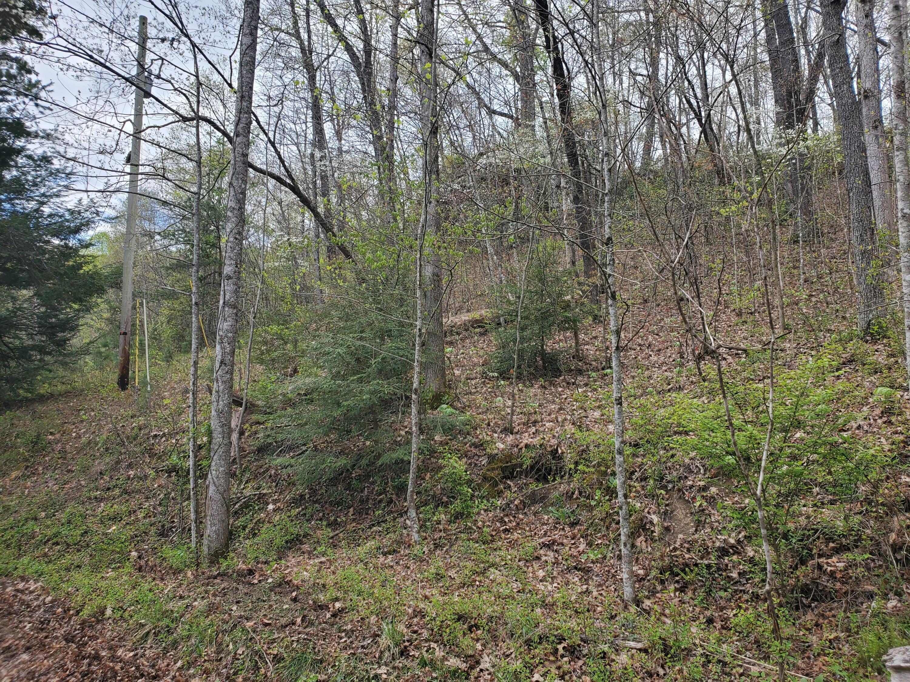 Lot 35-lot 36 Boulder Drive Property Photo 11