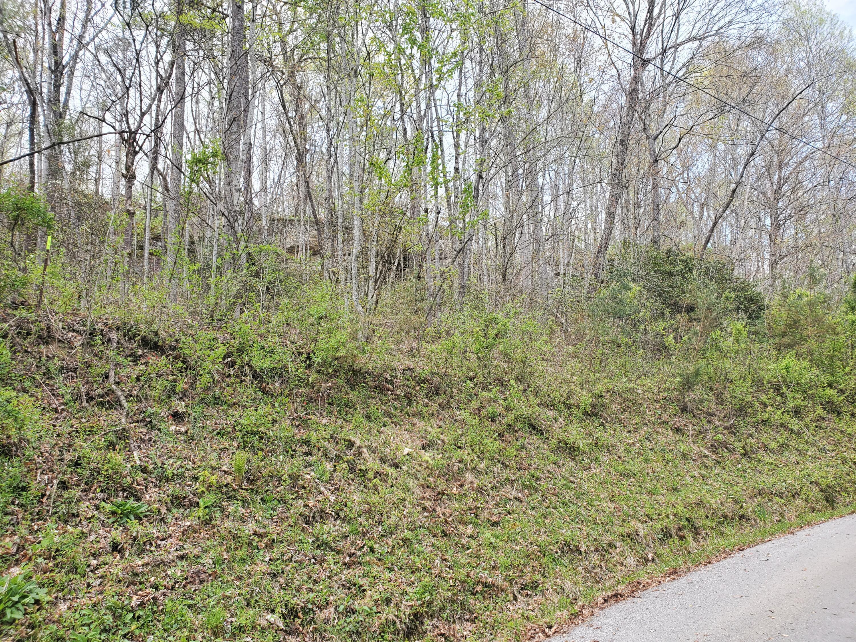 Lot 35-lot 36 Boulder Drive Property Photo 15