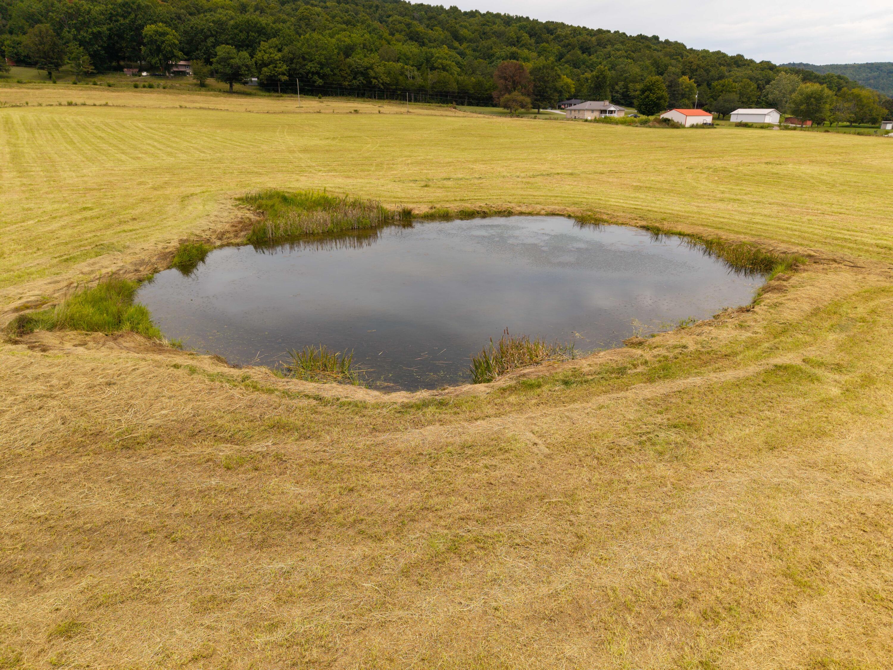 46 Pendleton Hollow Road Property Photo 5