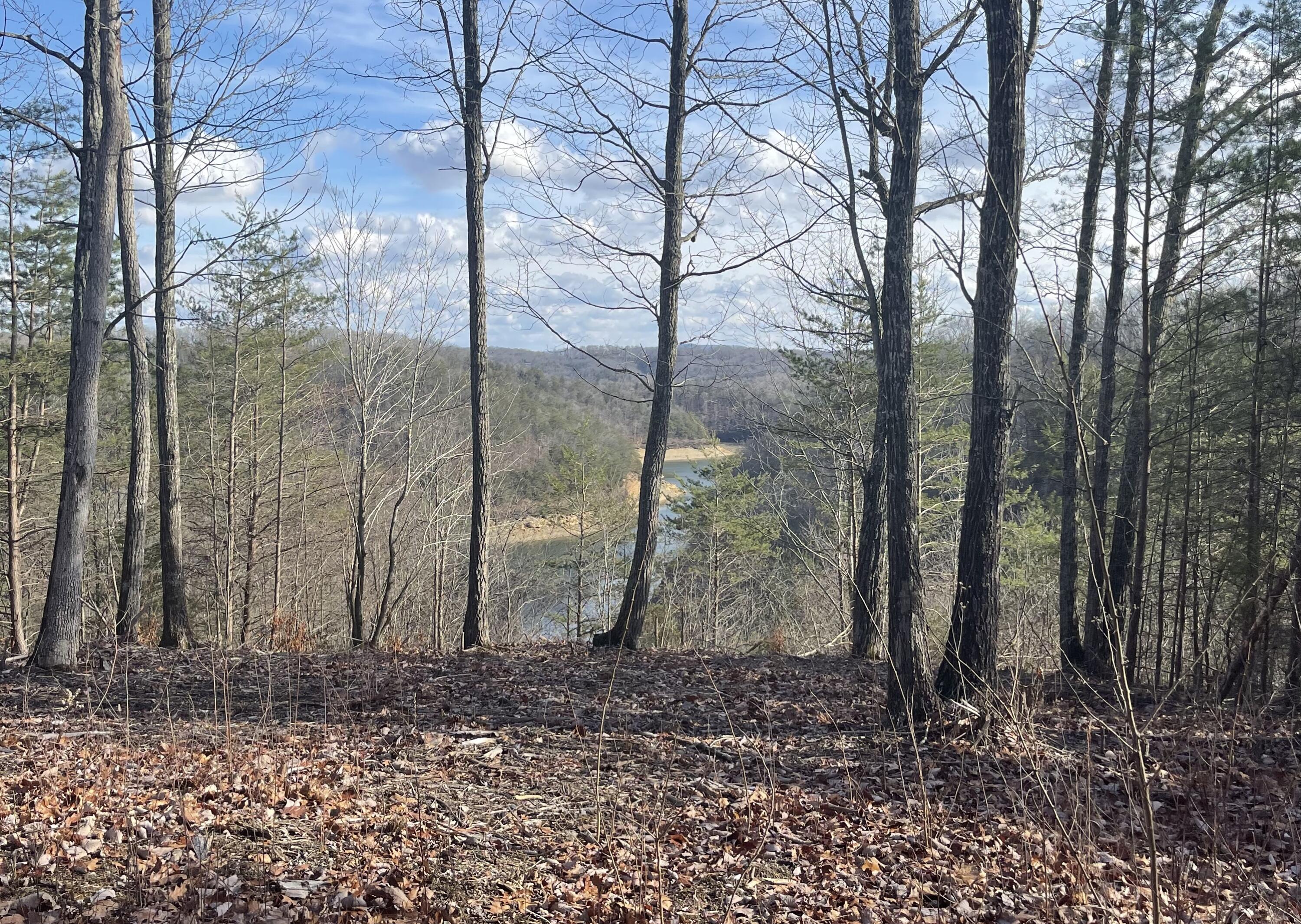 Lot 63 Sandstone Point Property Photo 1