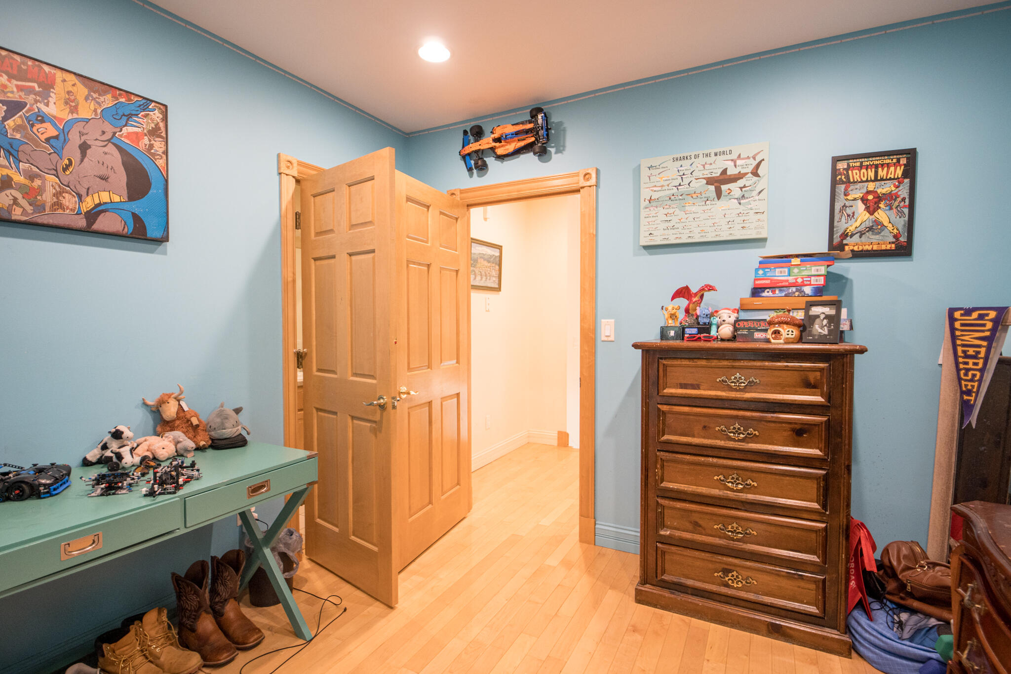 324 George Street Property Photo 52