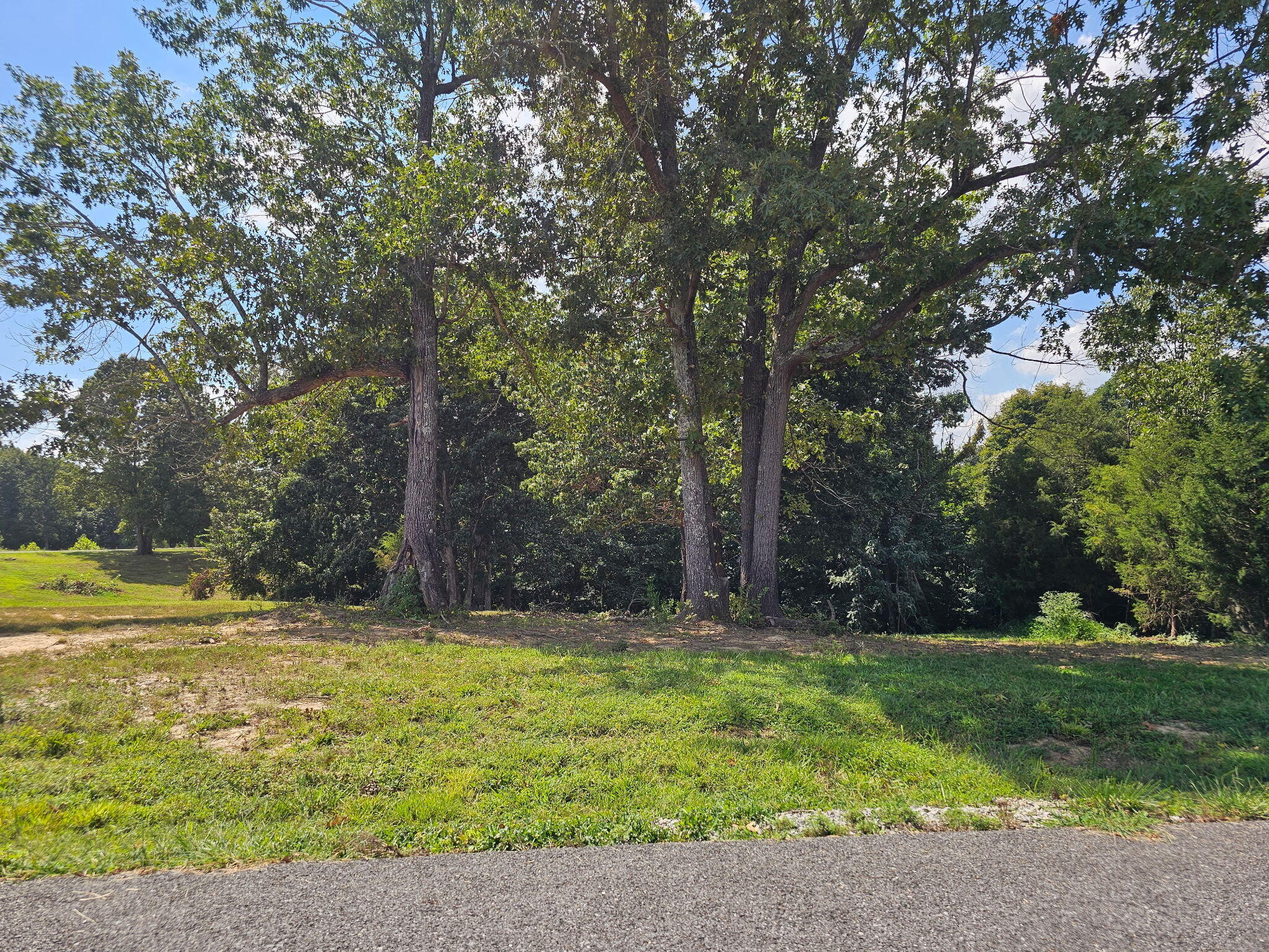 177 Corinne Drive Property Photo 2