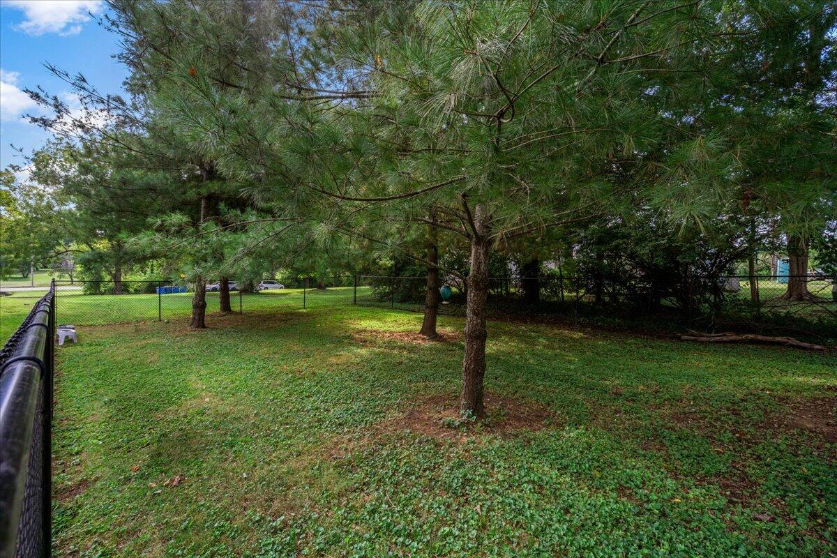 1079 Property Photo 65