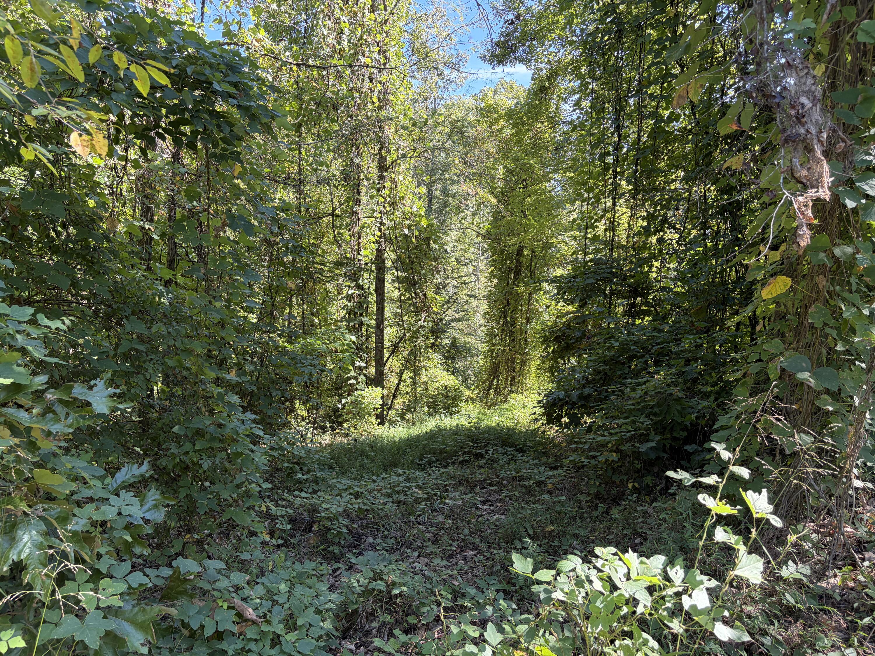 0000 Mountain View Road Property Photo 4