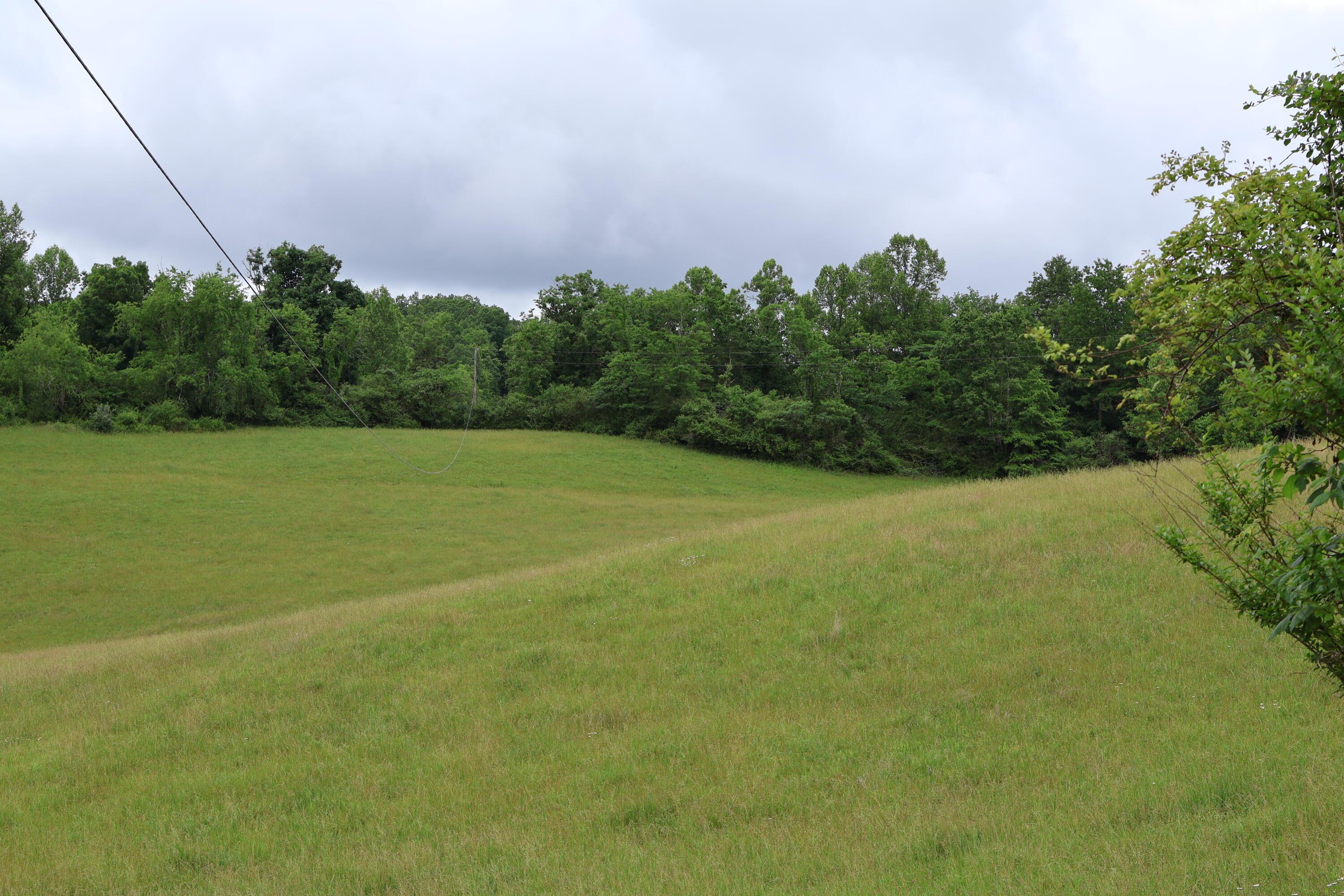 4135 4135 Big Andy Rdg Tract 3 Road Tracts 1 Property Photo 6