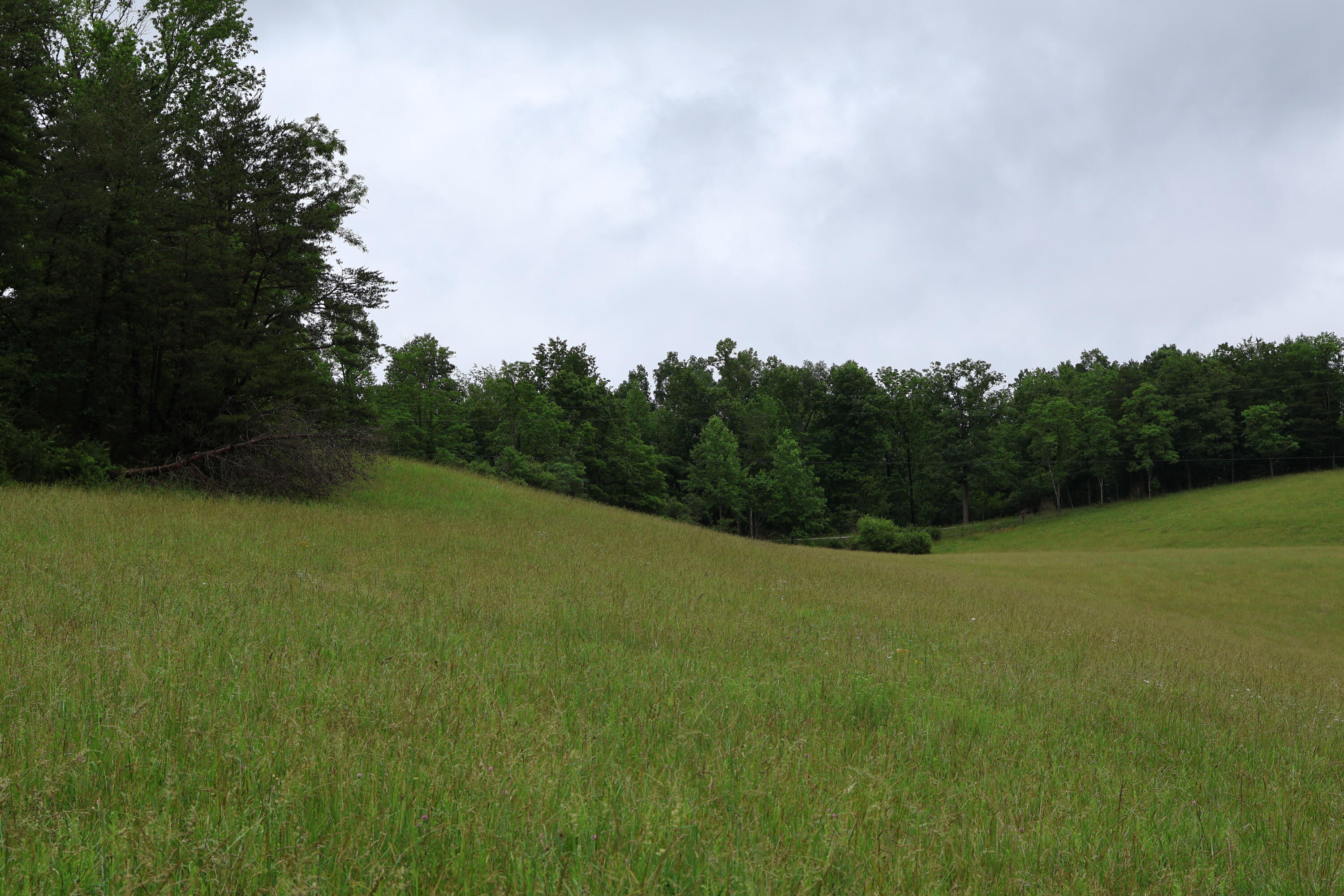 4135 4135 Big Andy Rdg Tract 3 Road Tracts 1 Property Photo 7