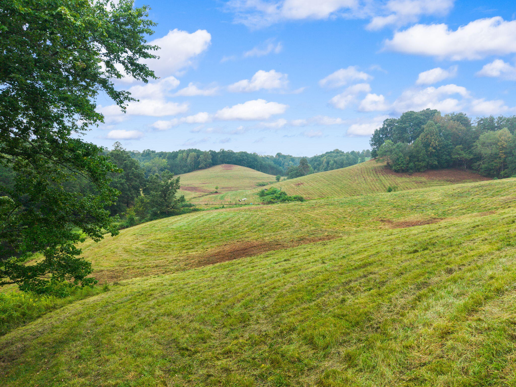 155 River Hill Road Property Photo 22