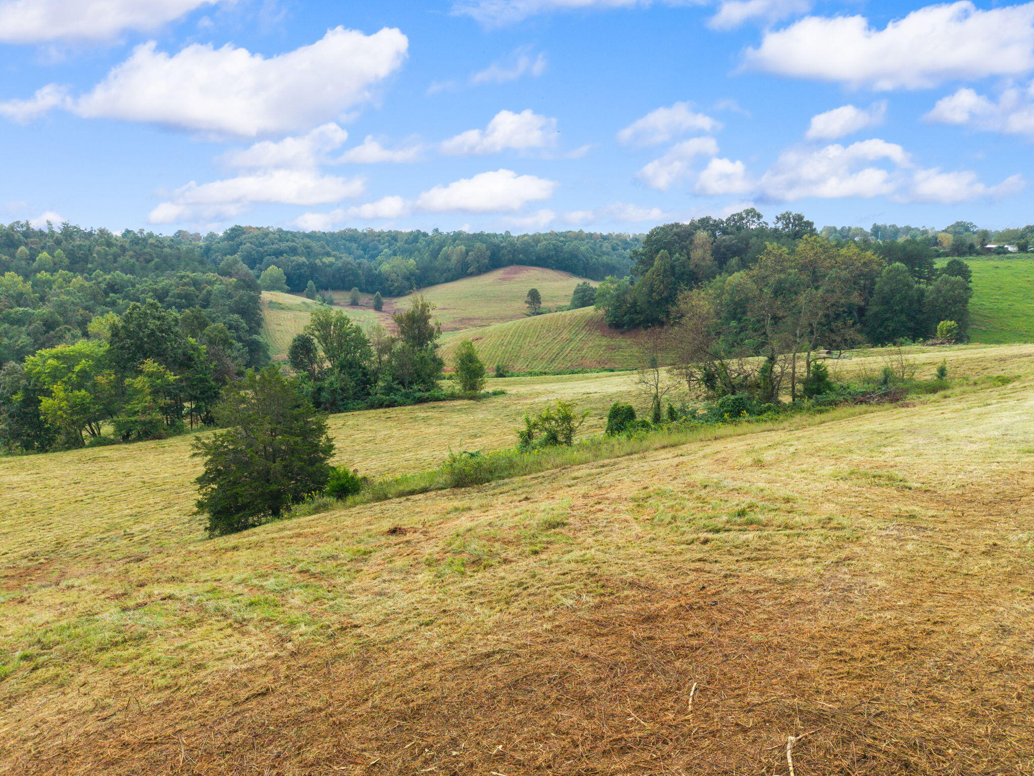 155 River Hill Road Property Photo 36