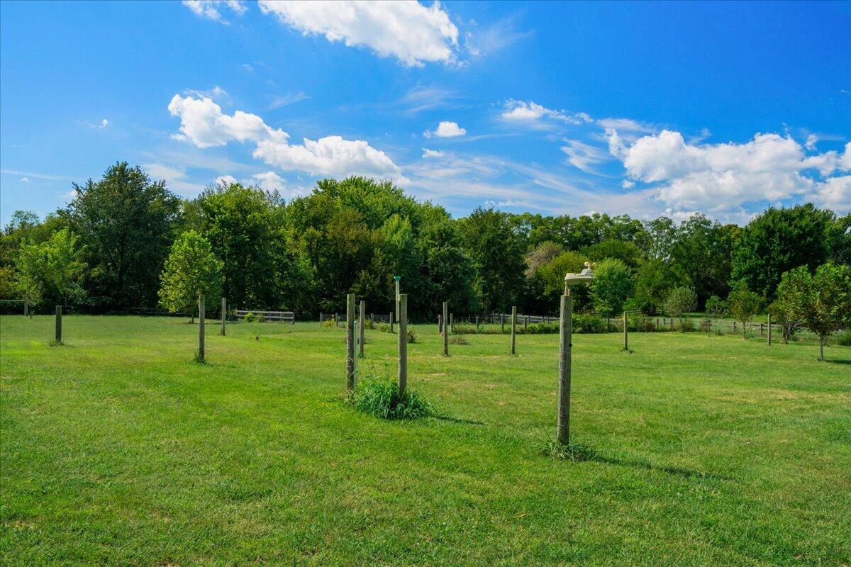 195 Locust Grove Road Property Photo 33