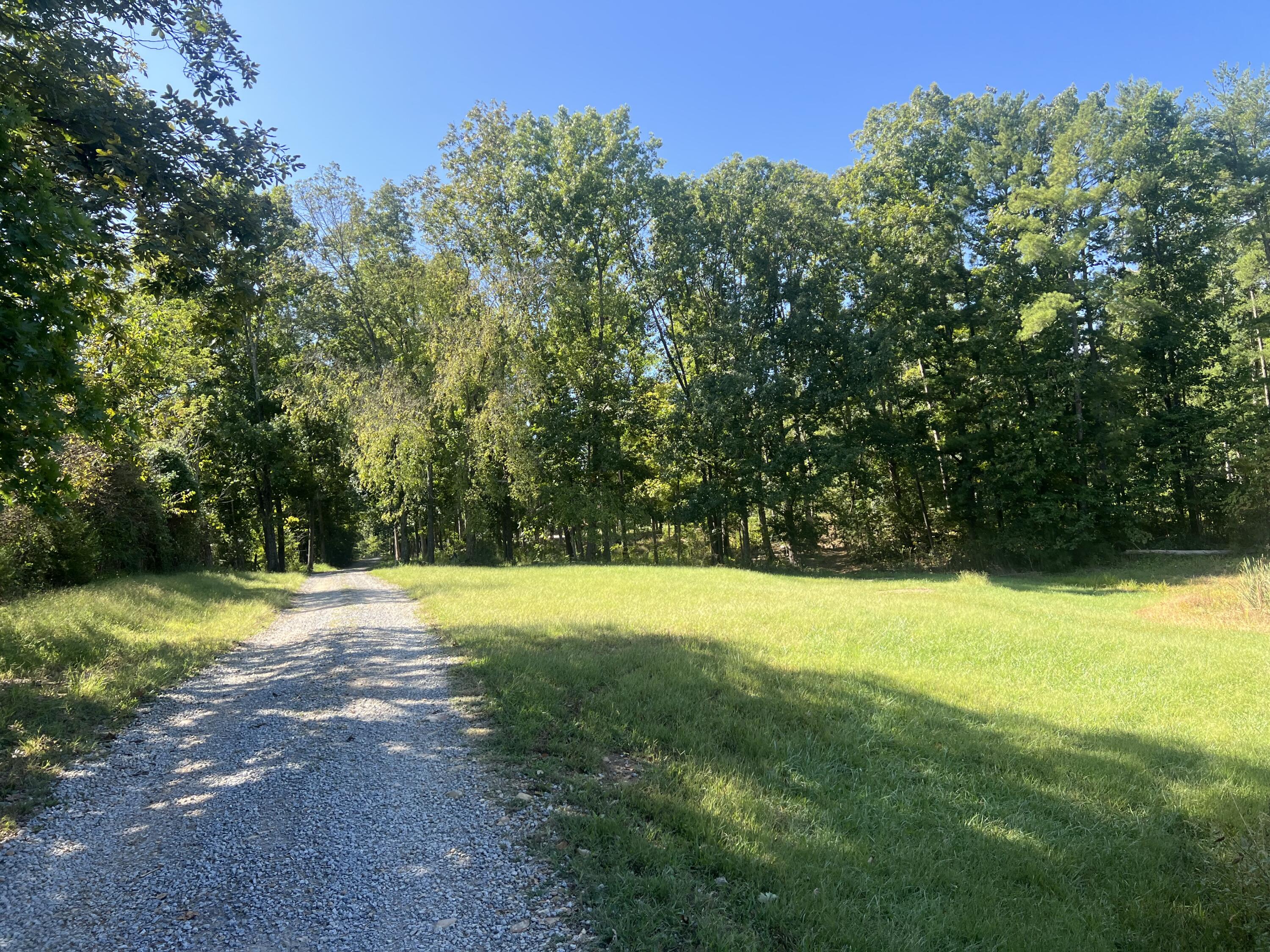60 Louie Lane Property Photo 12
