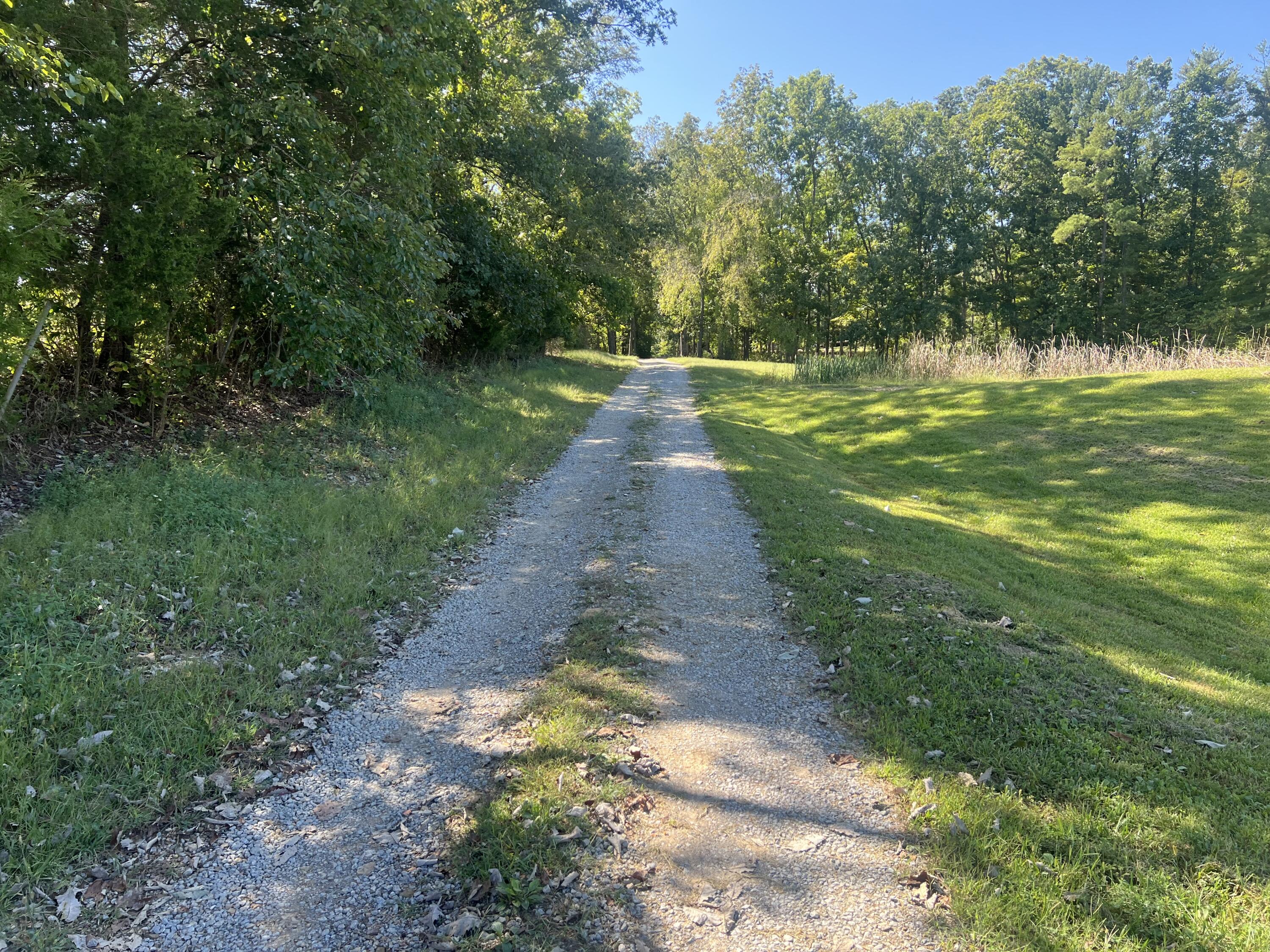 60 Louie Lane Property Photo 14