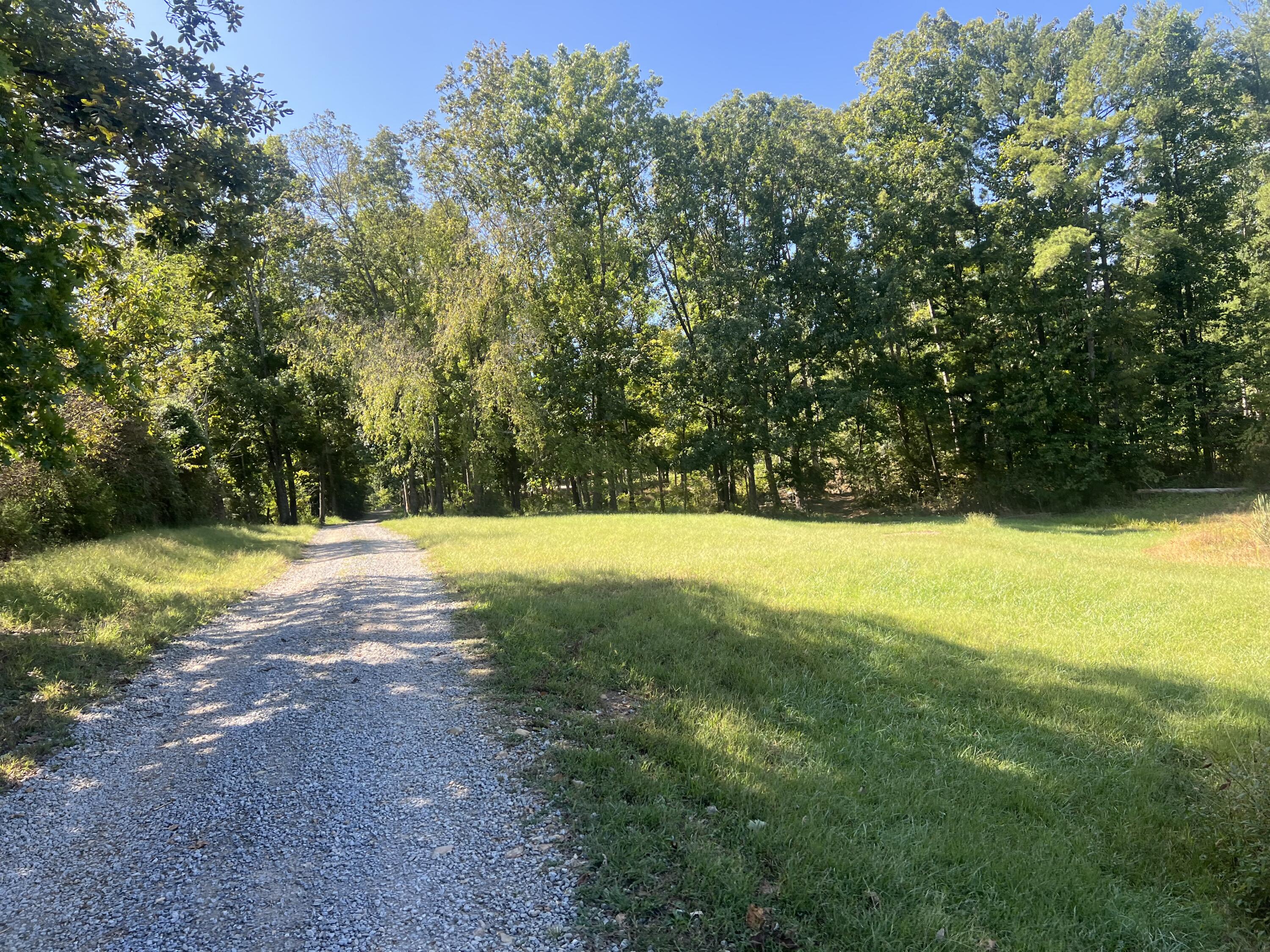 60 Louie Lane Property Photo 15