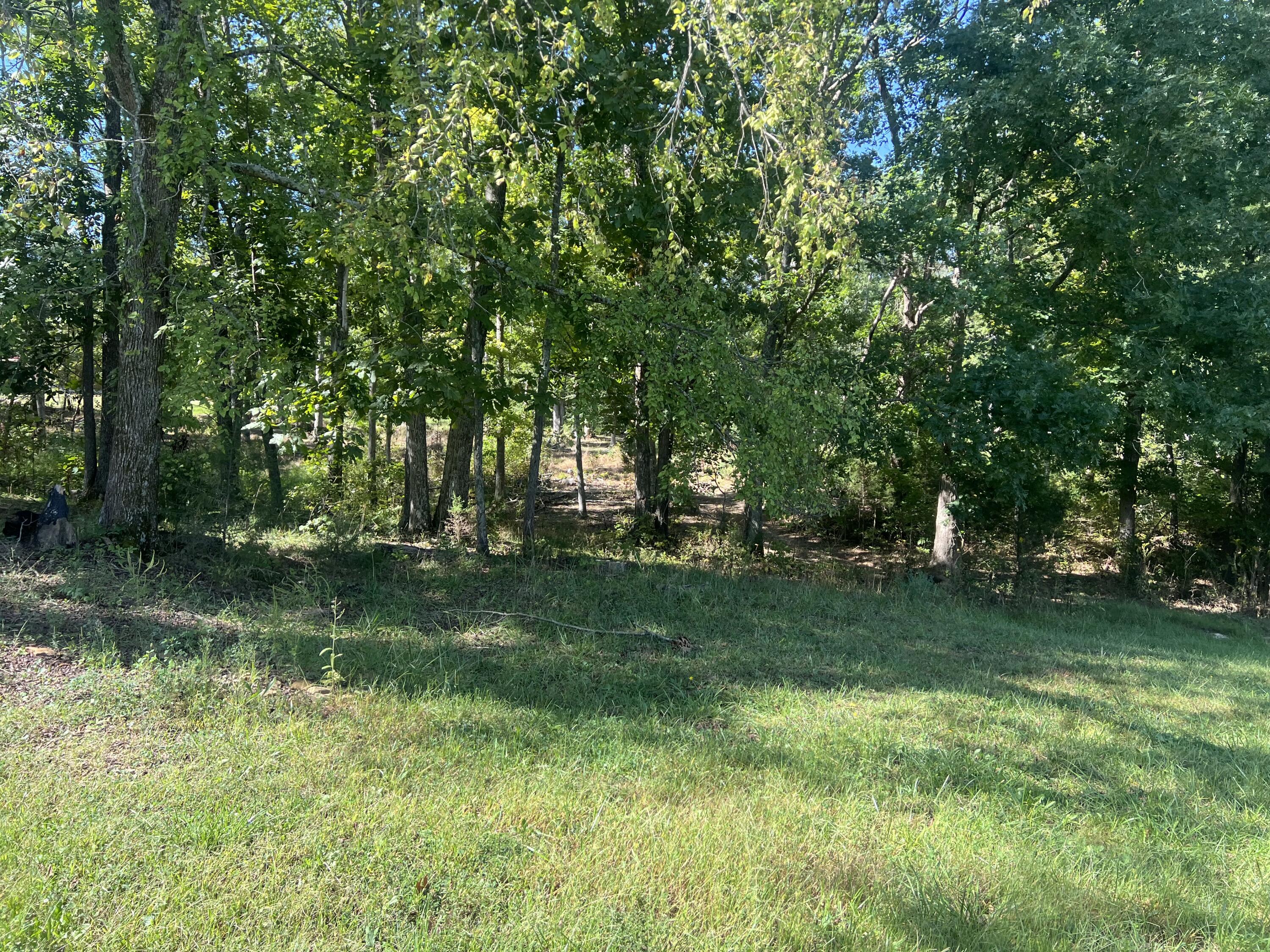 60 Louie Lane Property Photo 17