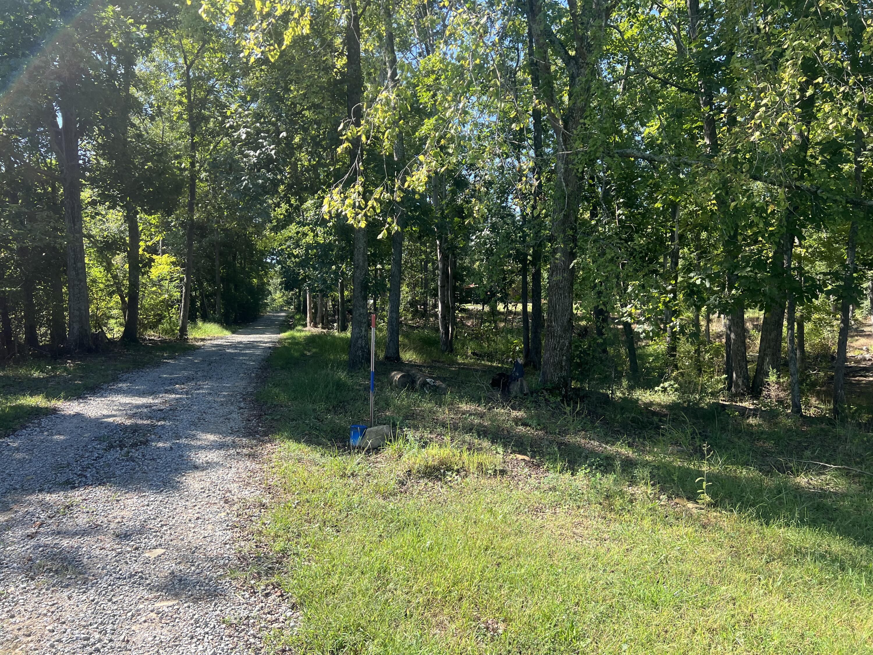 60 Louie Lane Property Photo 18