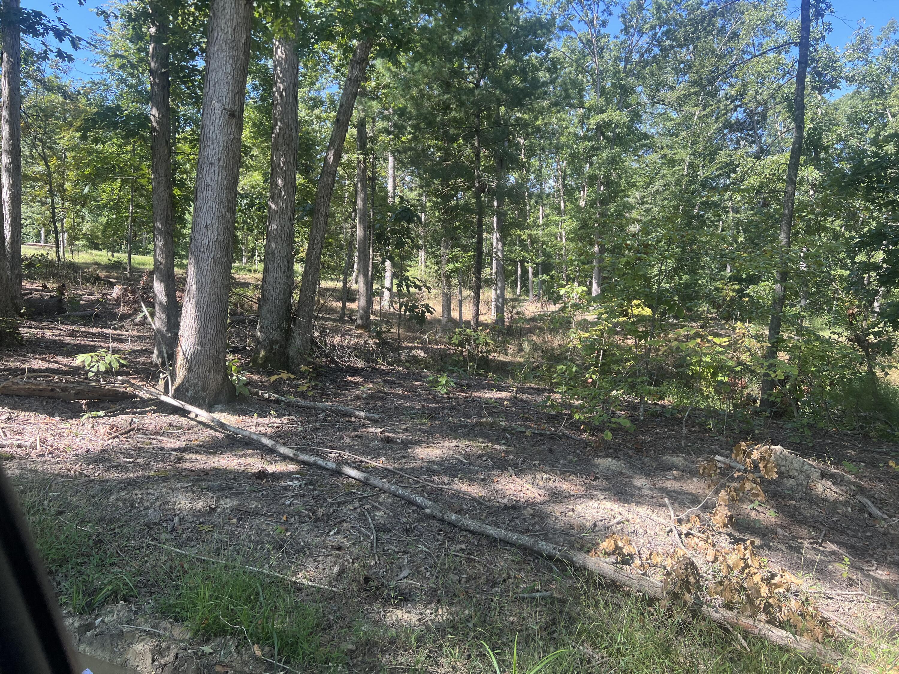 60 Louie Lane Property Photo 19