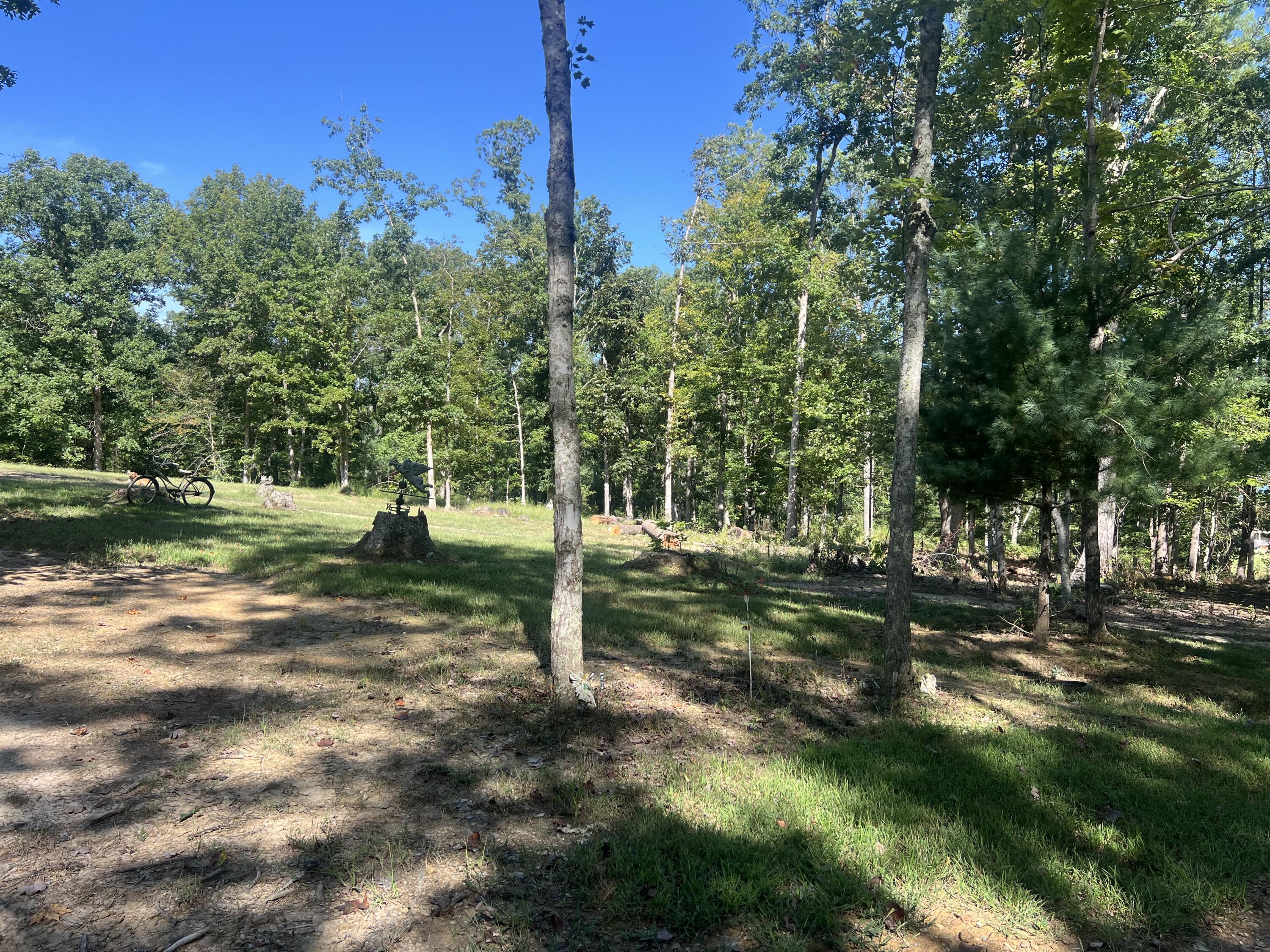 60 Louie Lane Property Photo 21